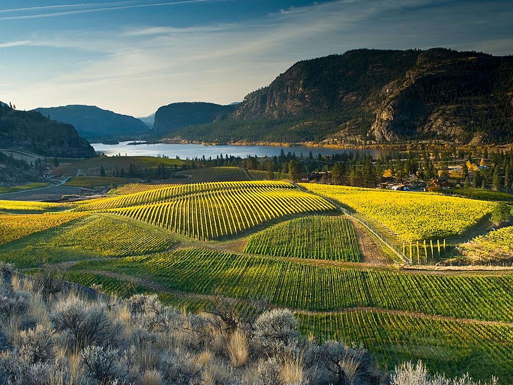 Gorgeous Vineyards Across the Globeé Nast Traveler