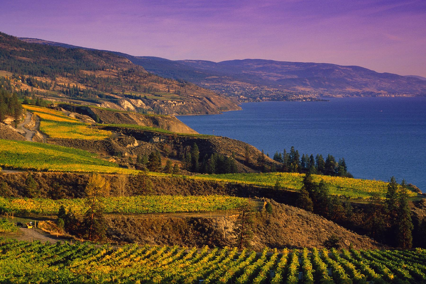 Wine Tour Archives Kelowna Tours