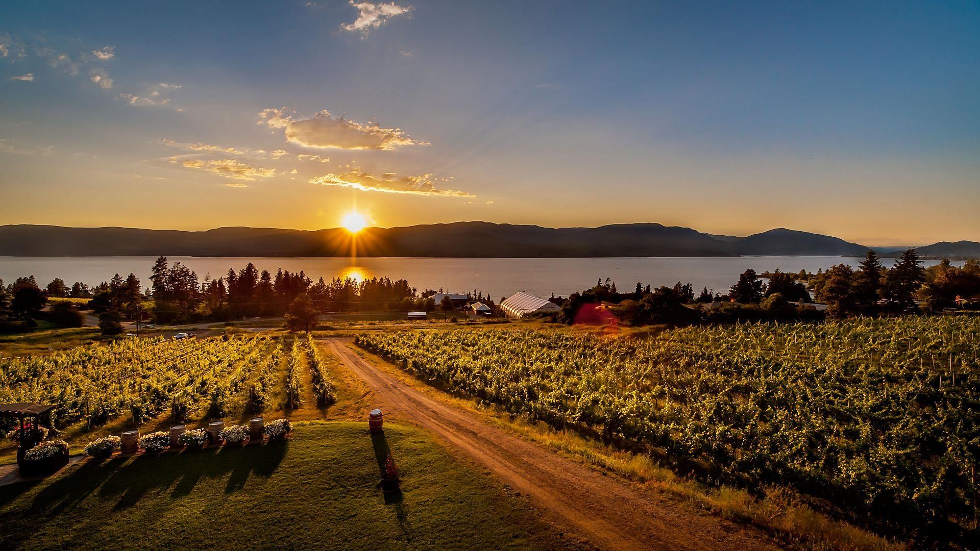 My Canadian Travel Diary: Kelowna. Norteway Consulting Canada