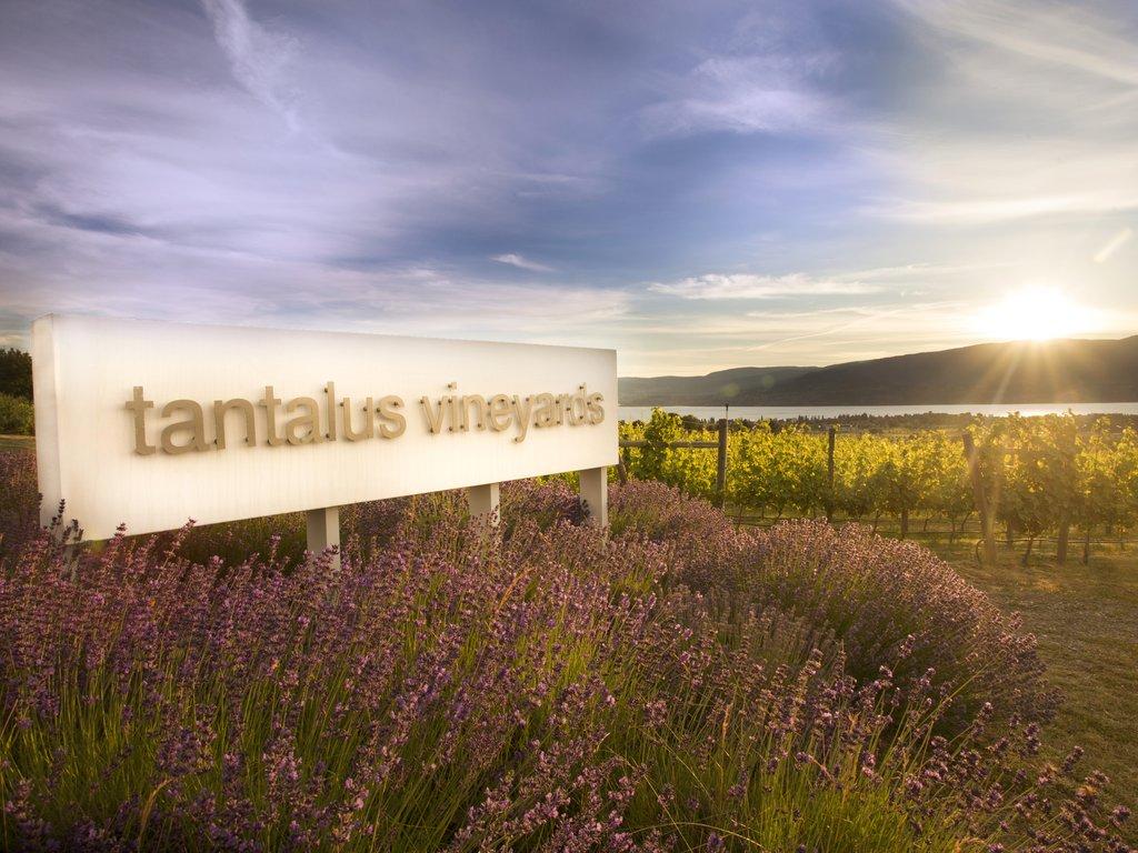 Tantalus Vineyards, Exceptional wines made from a single vineyard
