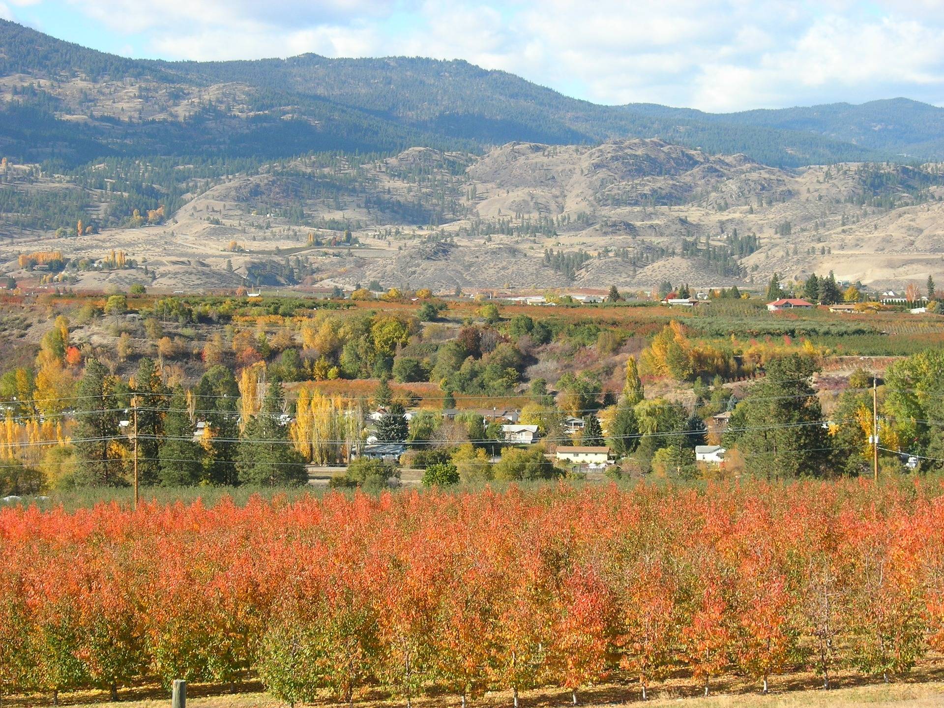 Wine in the Okanagan Casa Cottages