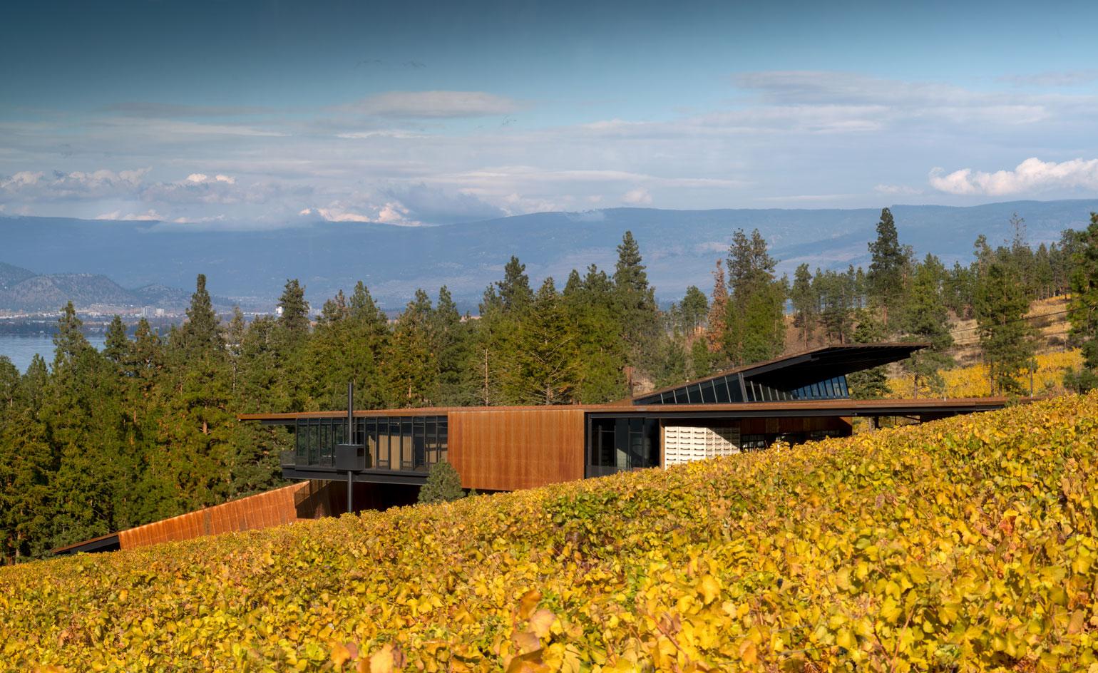 New winery Martin's Lane by Tom Kundig from Olson Kundig. Wallpaper*