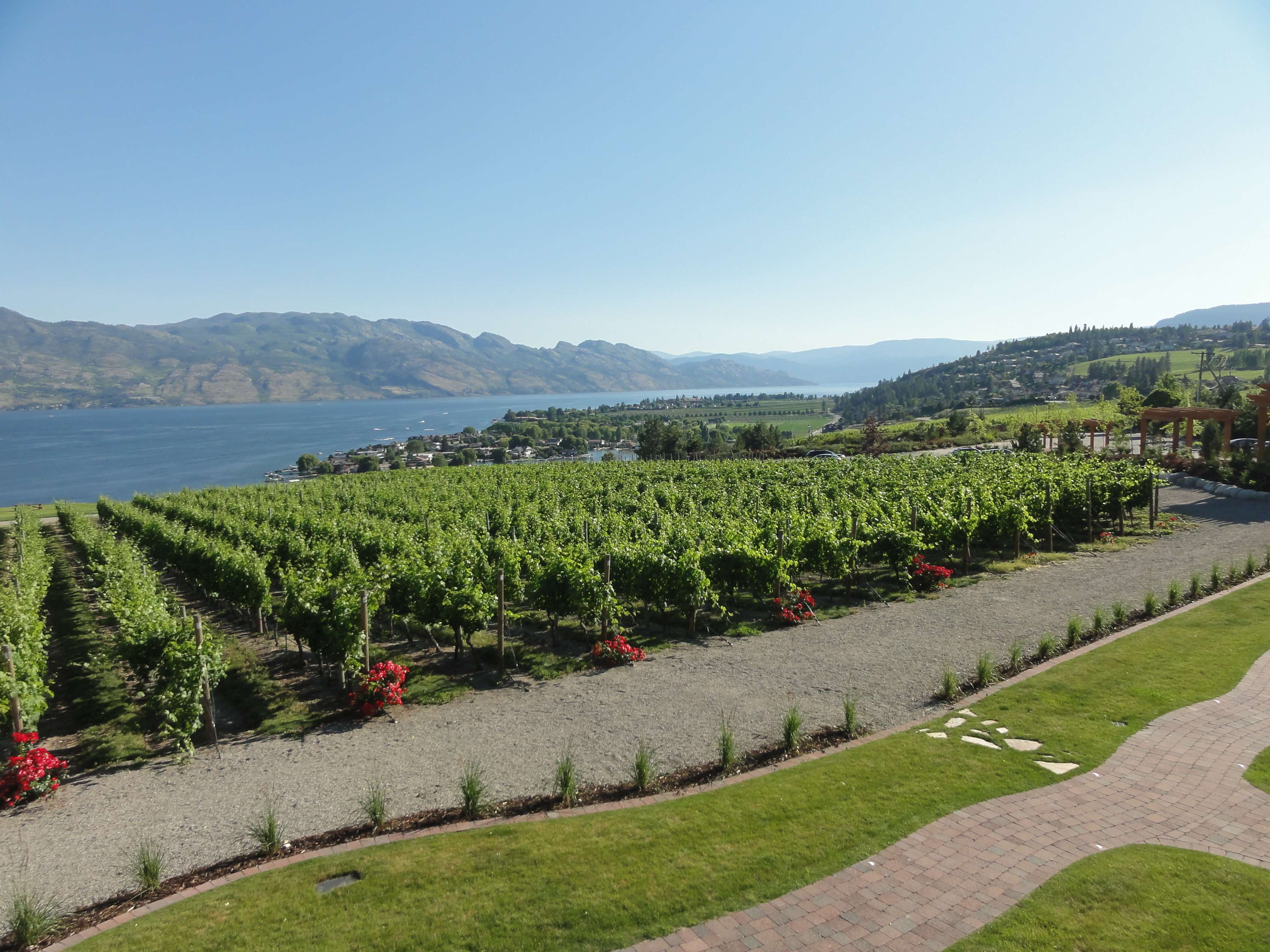 lakeview, okanagan, winery wallpaper and background. Free
