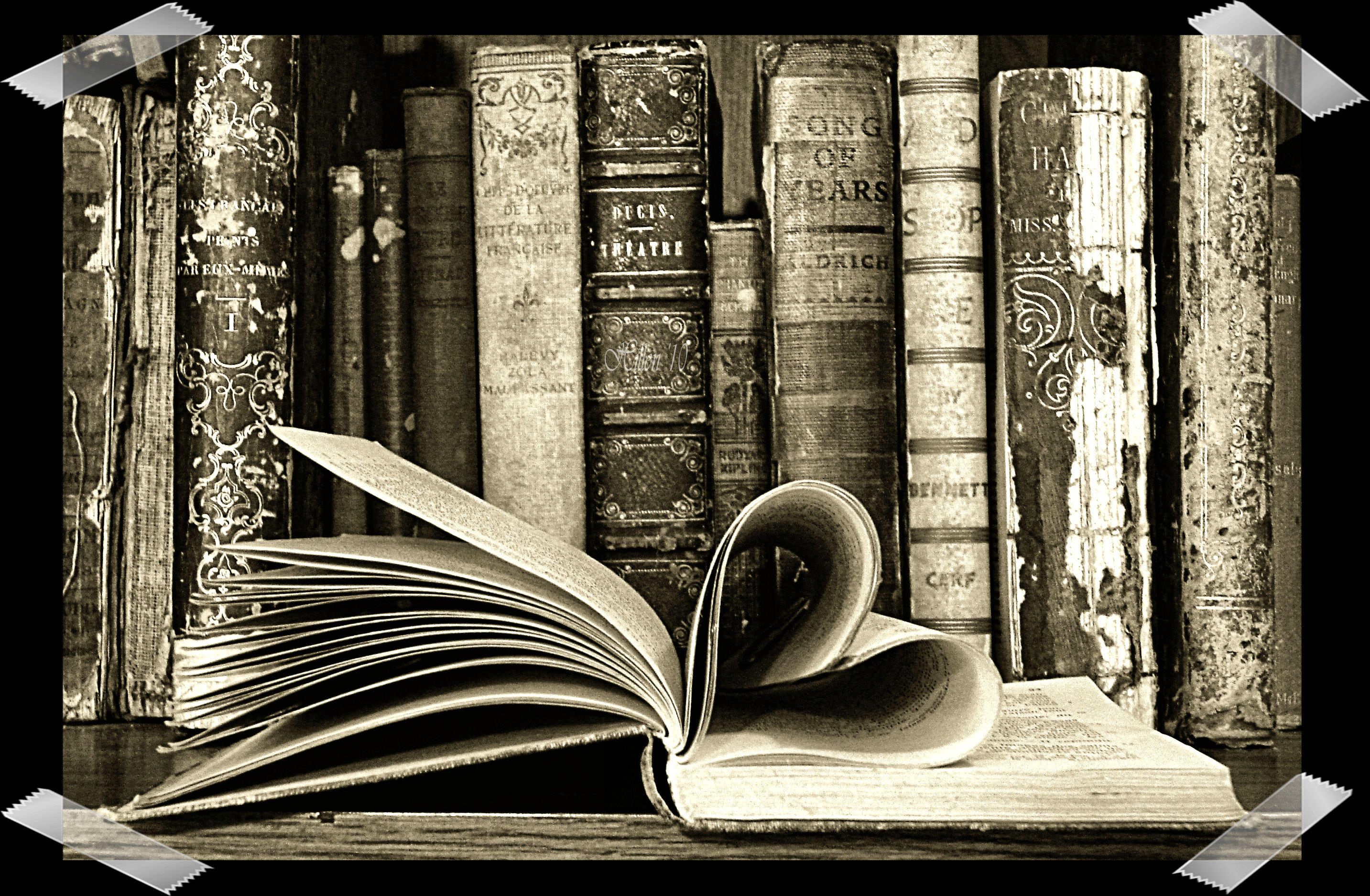 Readers Wallpapers Wallpaper Cave