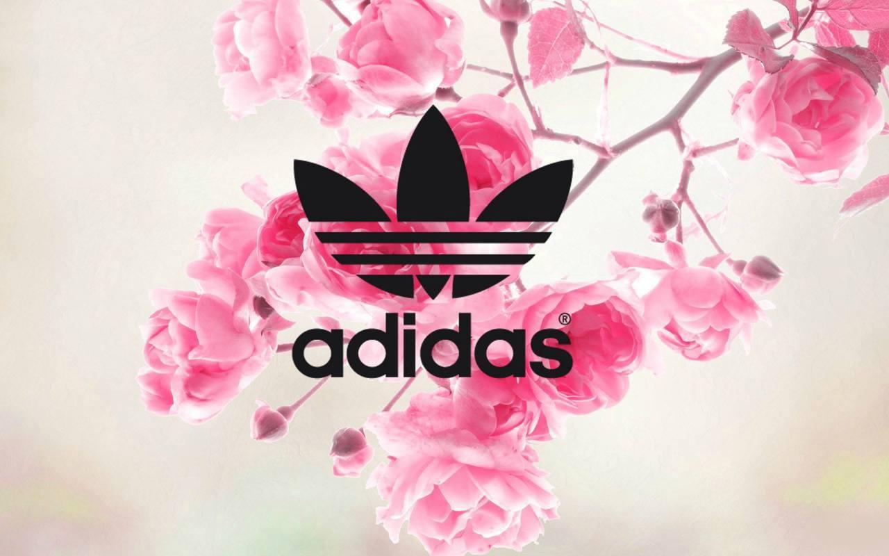 Pink Adidas Wallpaper , Find HD Wallpaper For Free