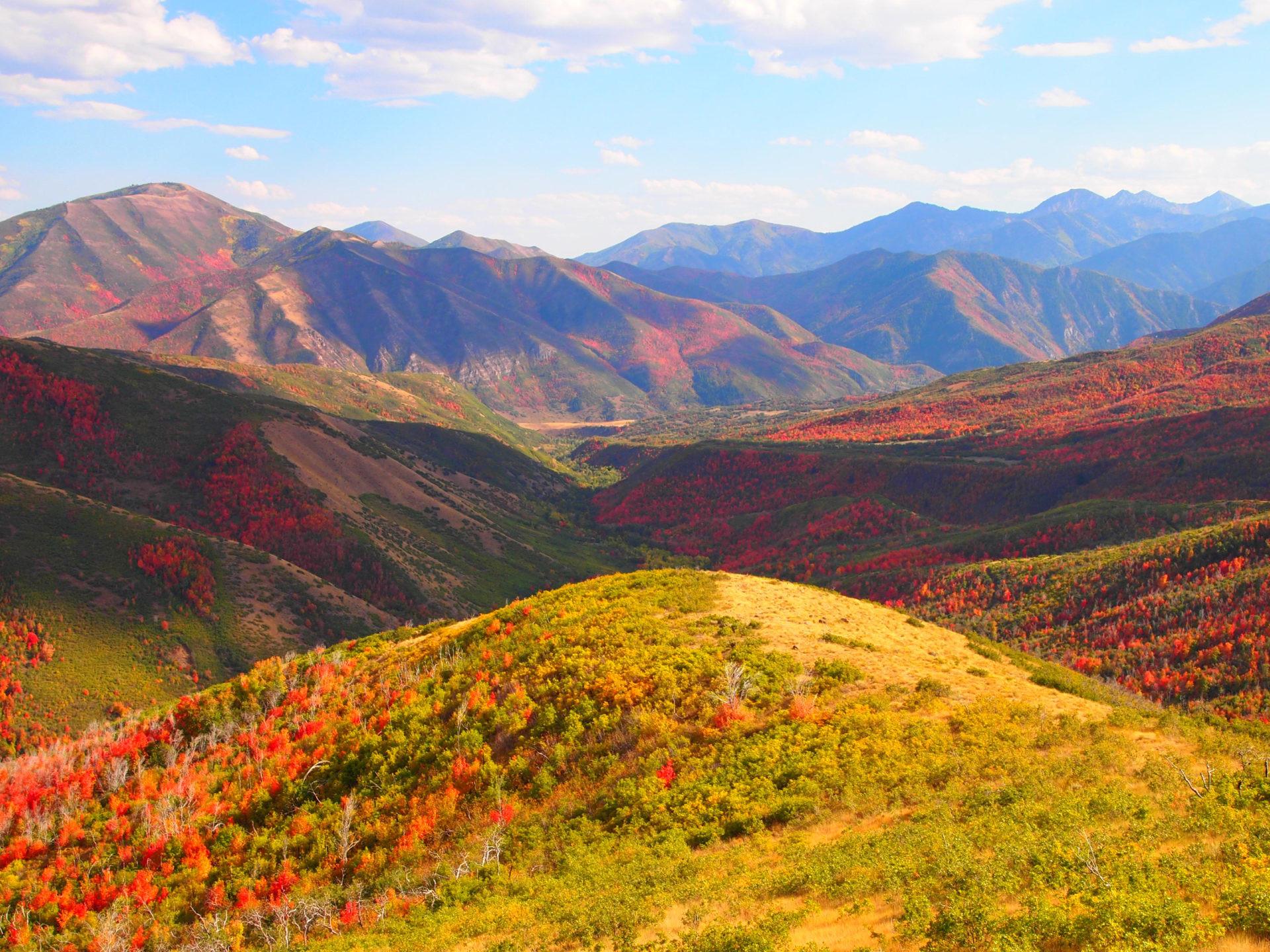 Alpine Loop Fall Colors Around Park City Utah United States