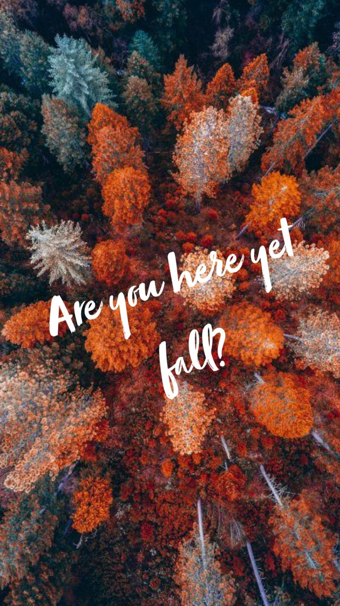 Autumn I Love You Wallpaper Best Of Are You Here Yet
