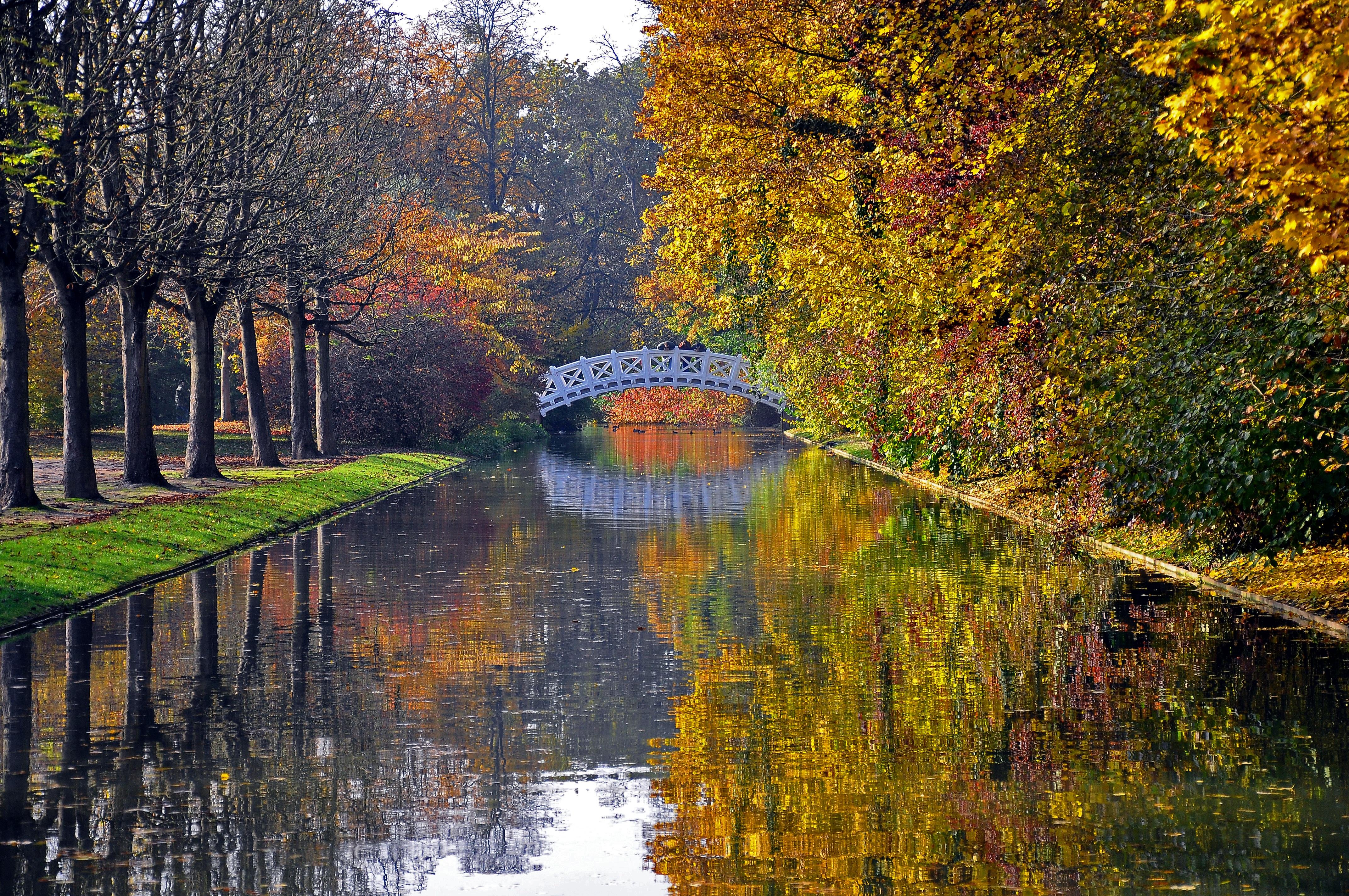 Download wallpaper 4288x2848 autumn, bridge, river, park