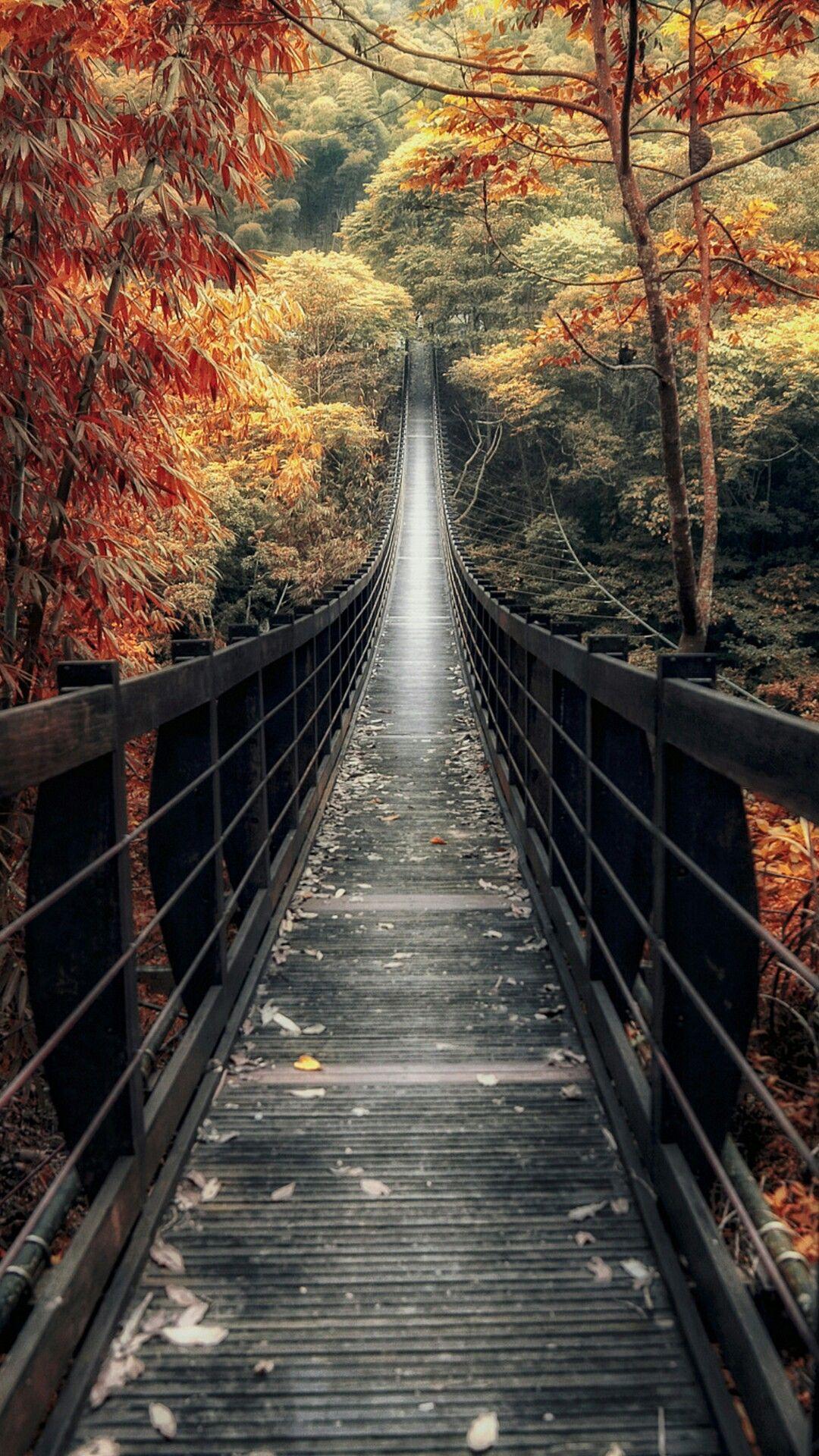 Bridge Walkway with Fall Trees from Zedge. Beautiful