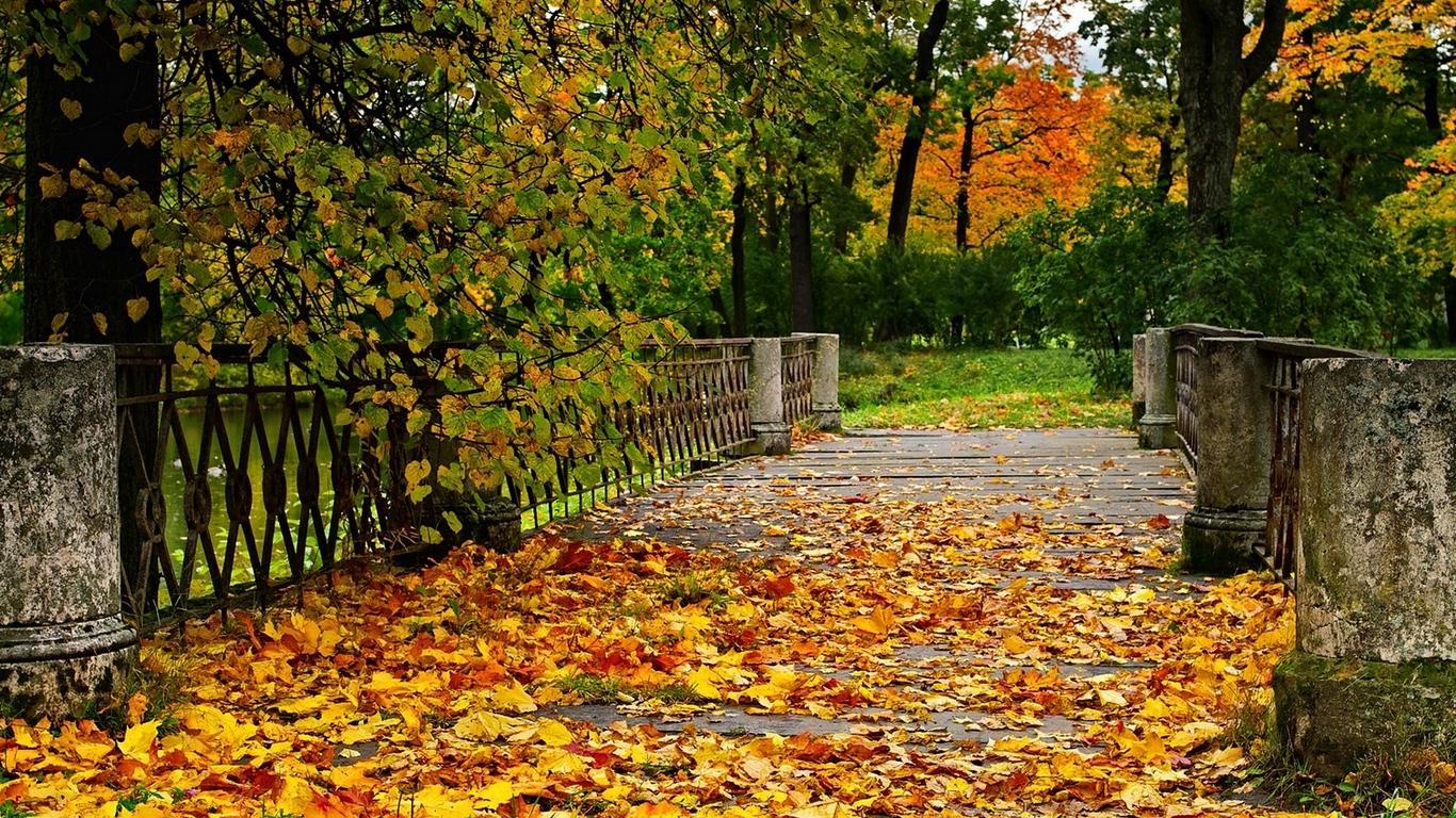 Download wallpaper 1366x768 autumn, bridge, trees, landscape