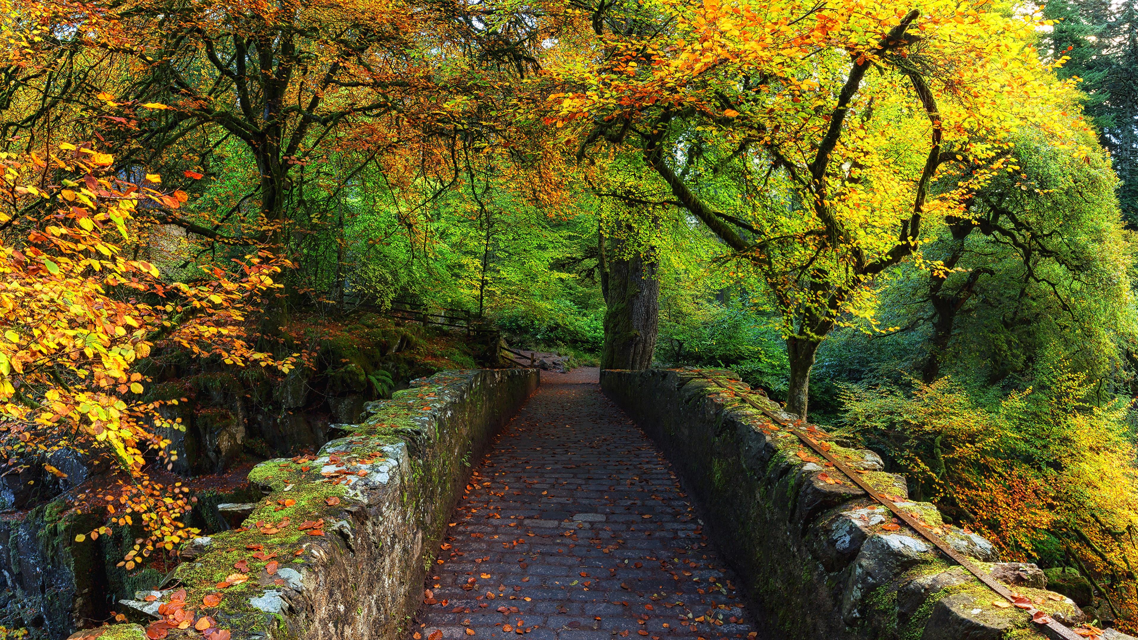 Picture Scotland Dunkeld Perthshire Autumn Nature Bridges