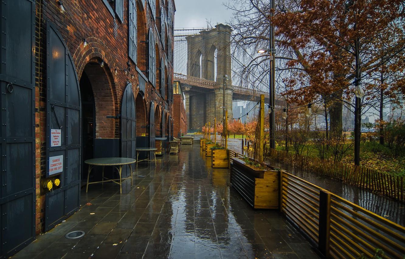 Wallpaper autumn, bridge, rain, tree, New York, cafe