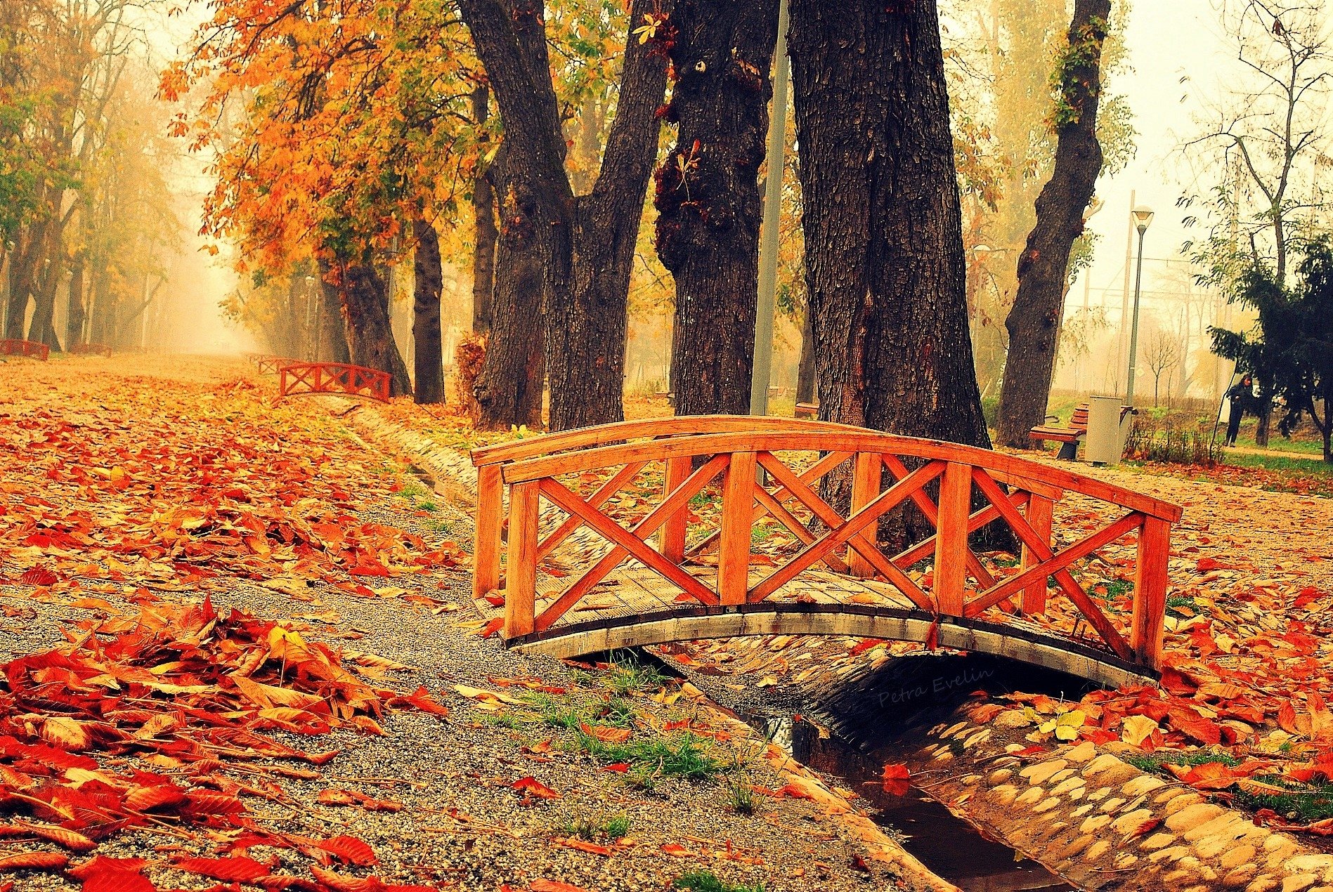 Bridge in Autumn Park Wallpaper