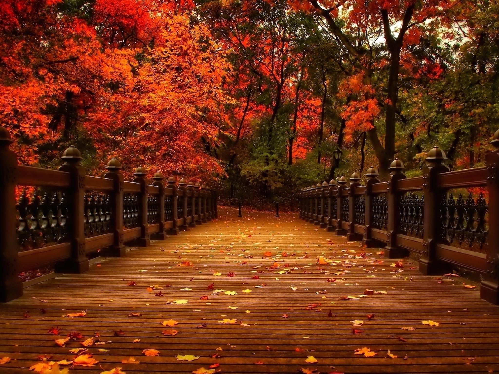Autumn Park Bridge Wallpaper. Free Autumn Downloads