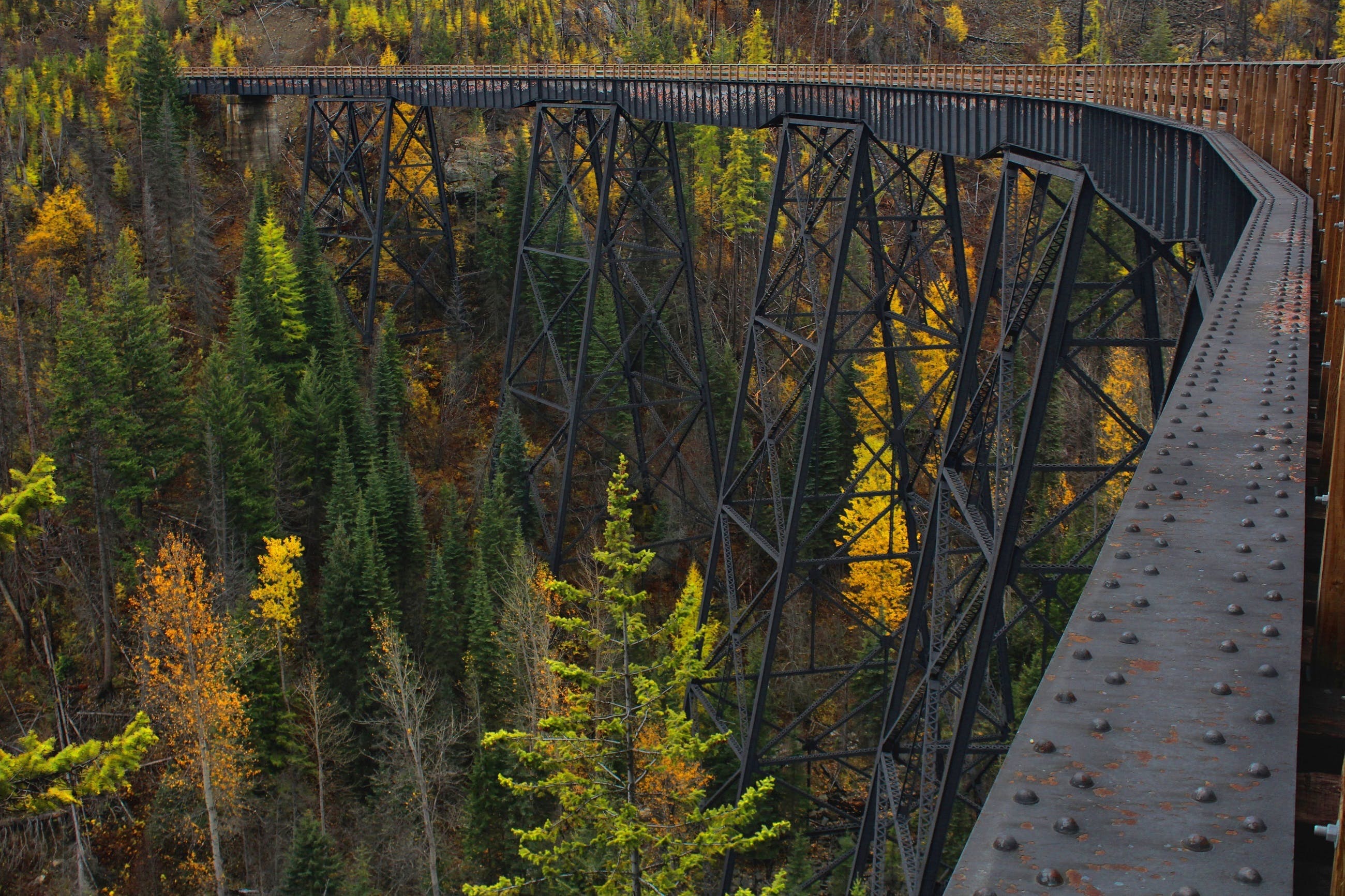 Autumn, Bridge, Color , Image, Wallpaper