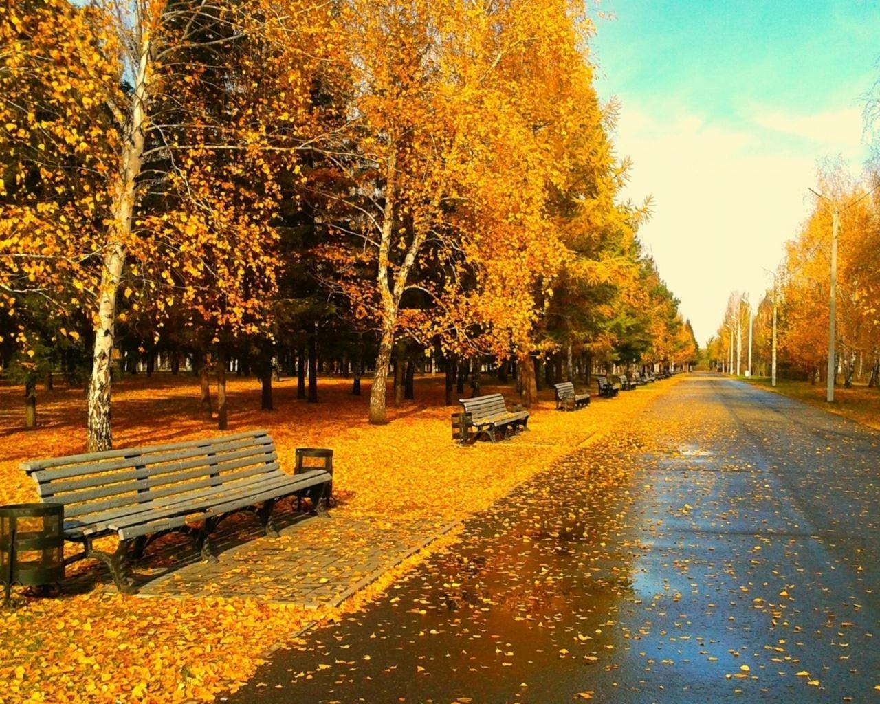 Sunny Autumn Day wallpaper. Sunny Autumn Day