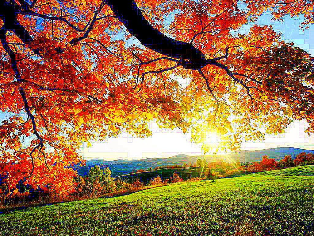 beautiful fall day wallpaper