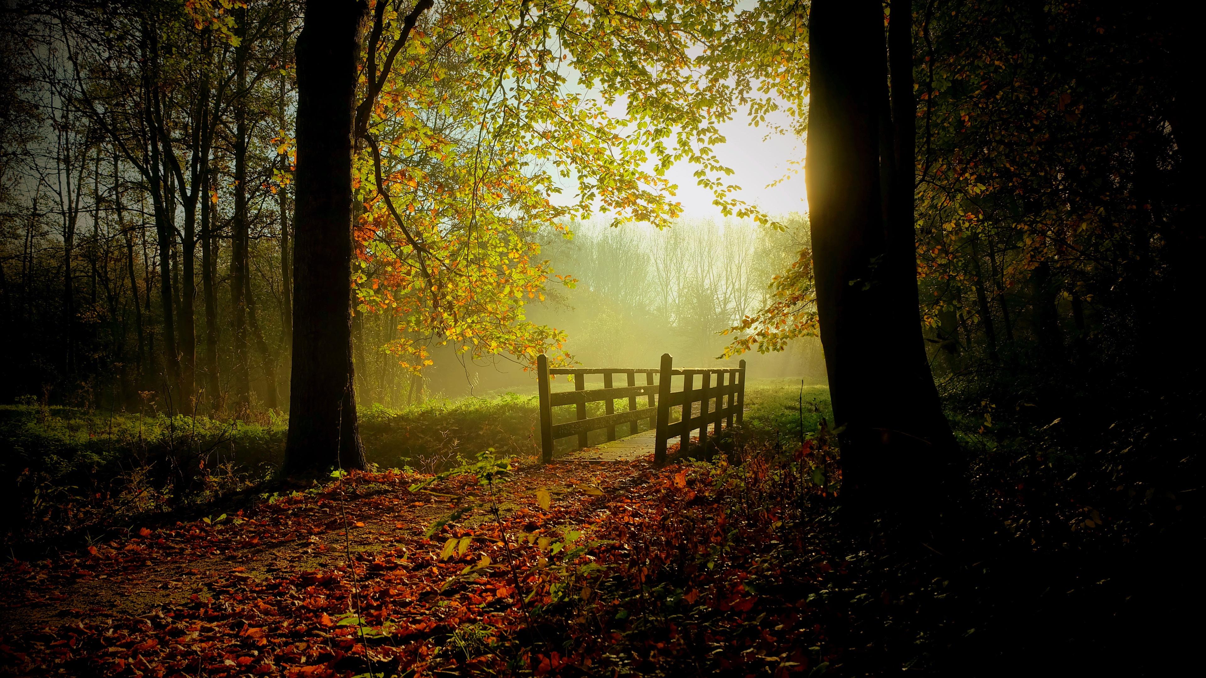 Sunny Fall Day Wallpaper in jpg format for free download