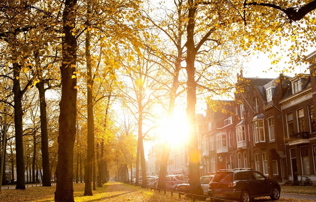 Wallpaper autumn, the sun, the city, street, Sunny Autumn