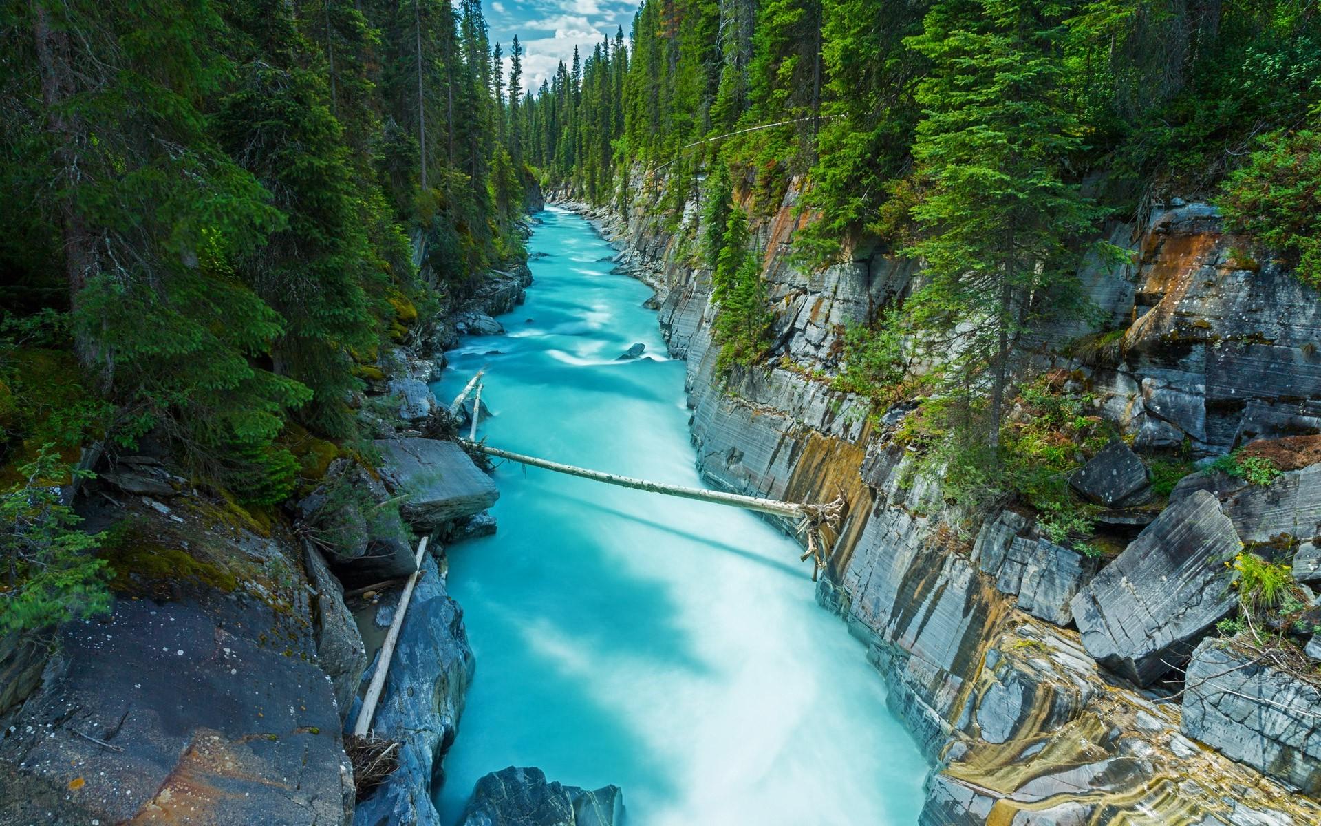 nature, Landscape, Canada, Forest, River, Rock, Water, Green