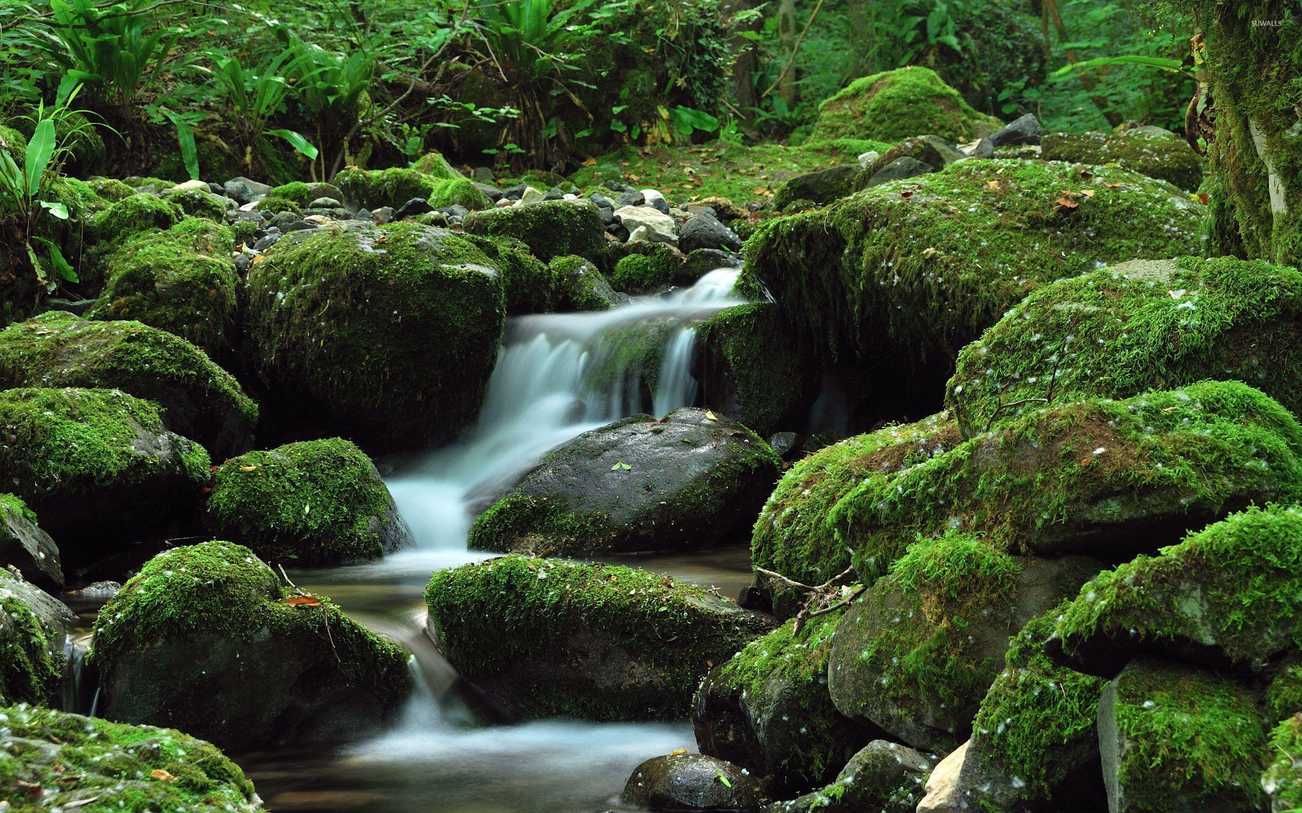 Water fallingsy rock wallpaper