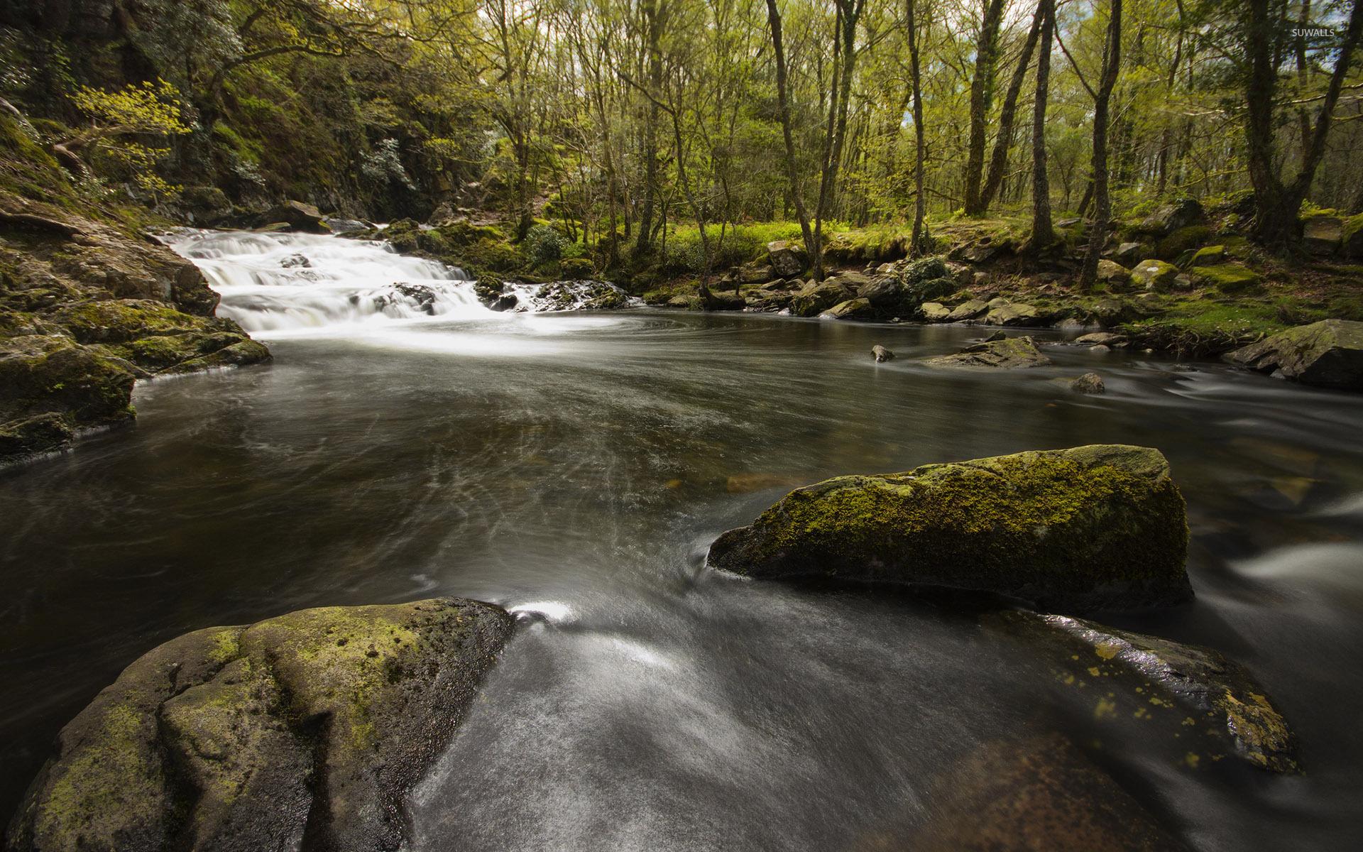 Mossy rocks in the mountain river [4] wallpaper