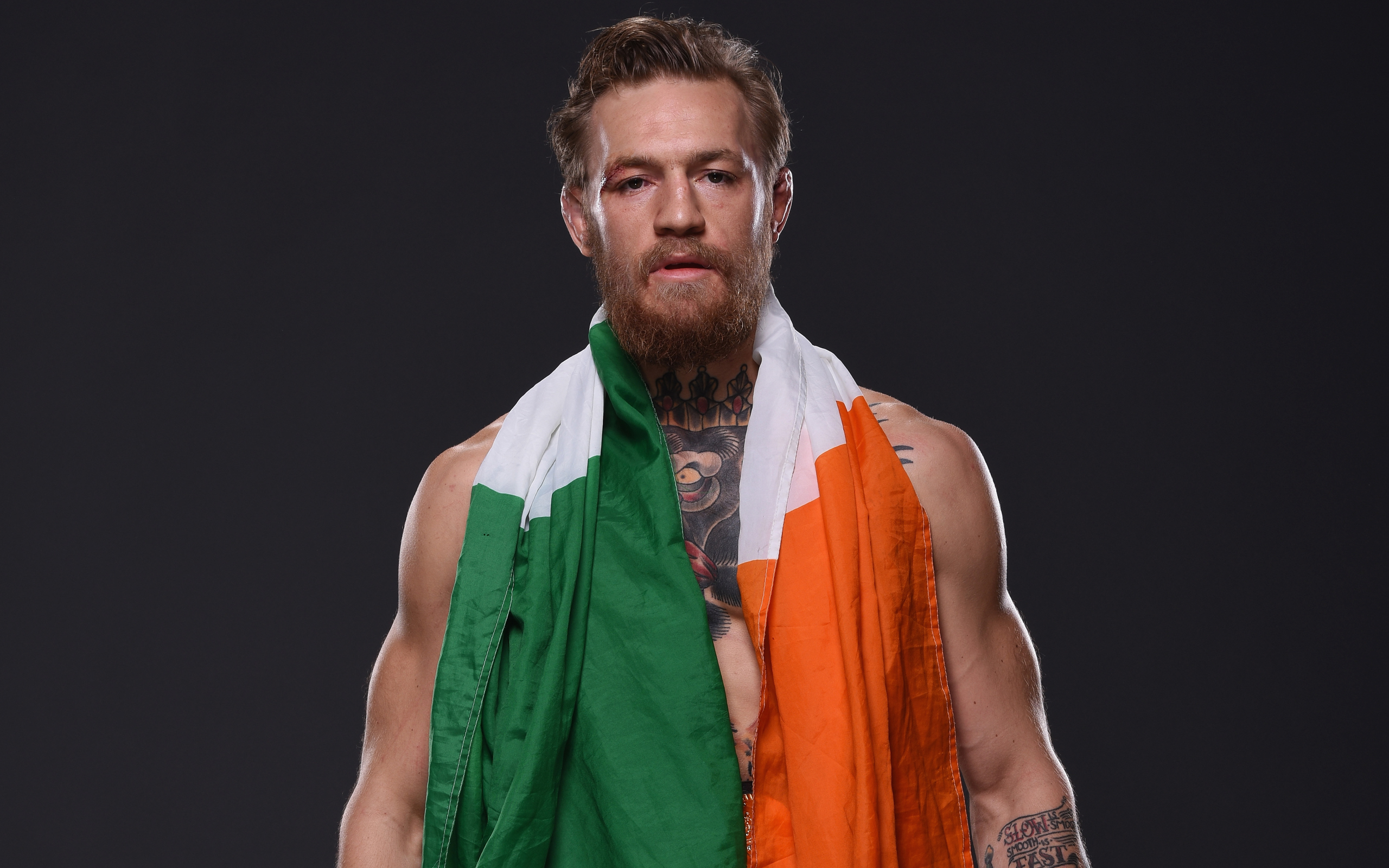 Download wallpaper Conor McGregor, Irish fighter, MMA