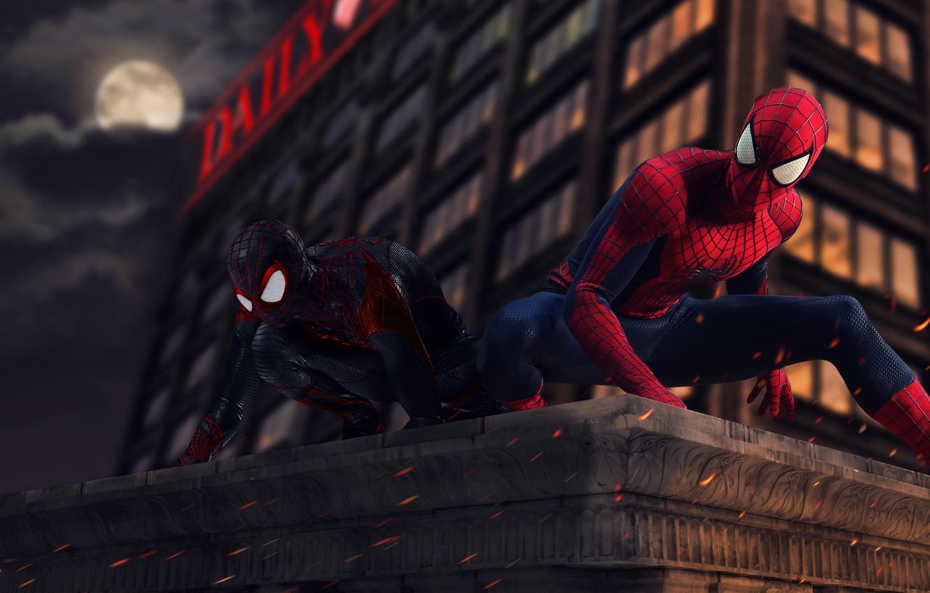 Wallpaper Marvel, Spider Man, Peter Parker, Miles Morales