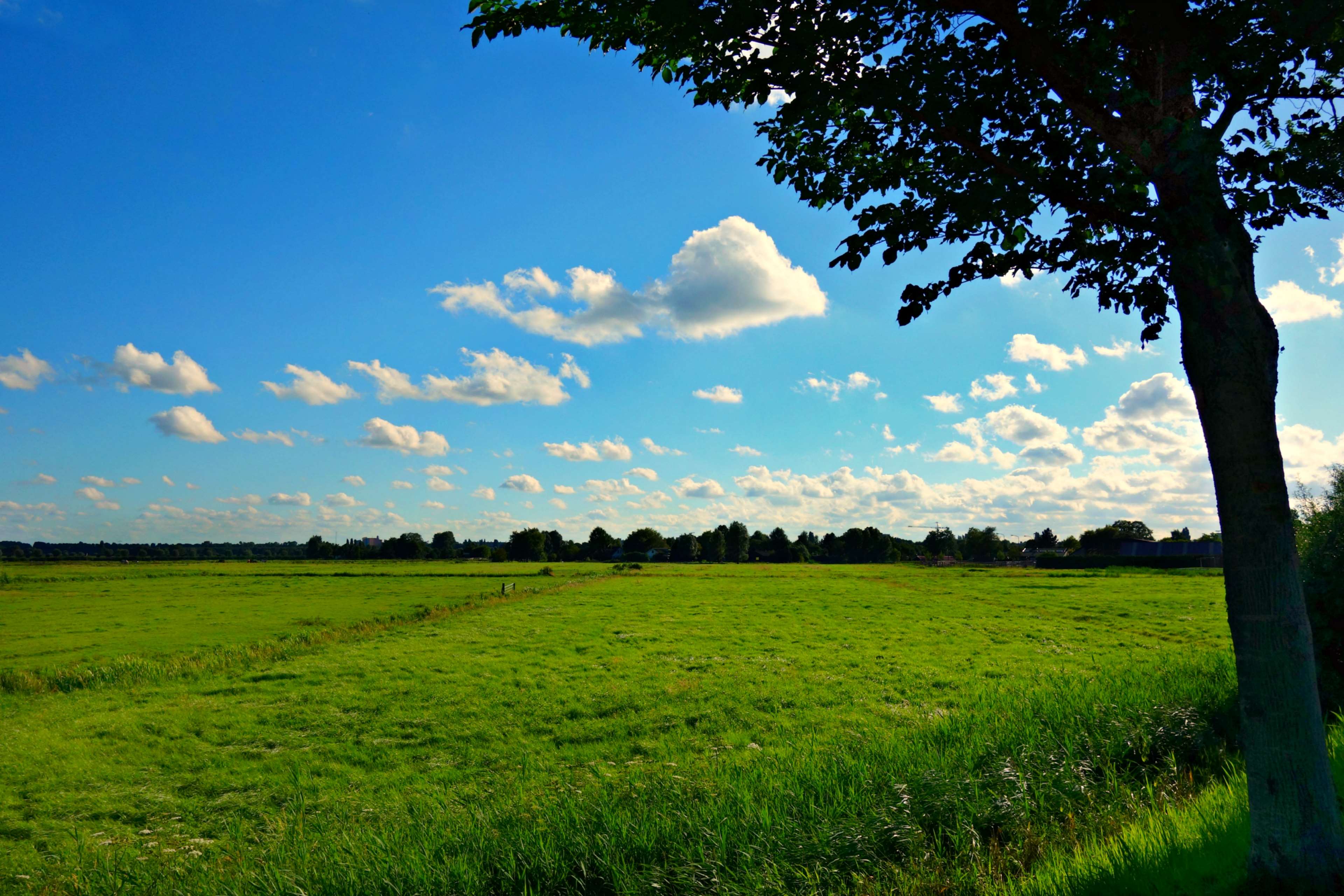 clouds, countryside, field, grass, landscape, meadow