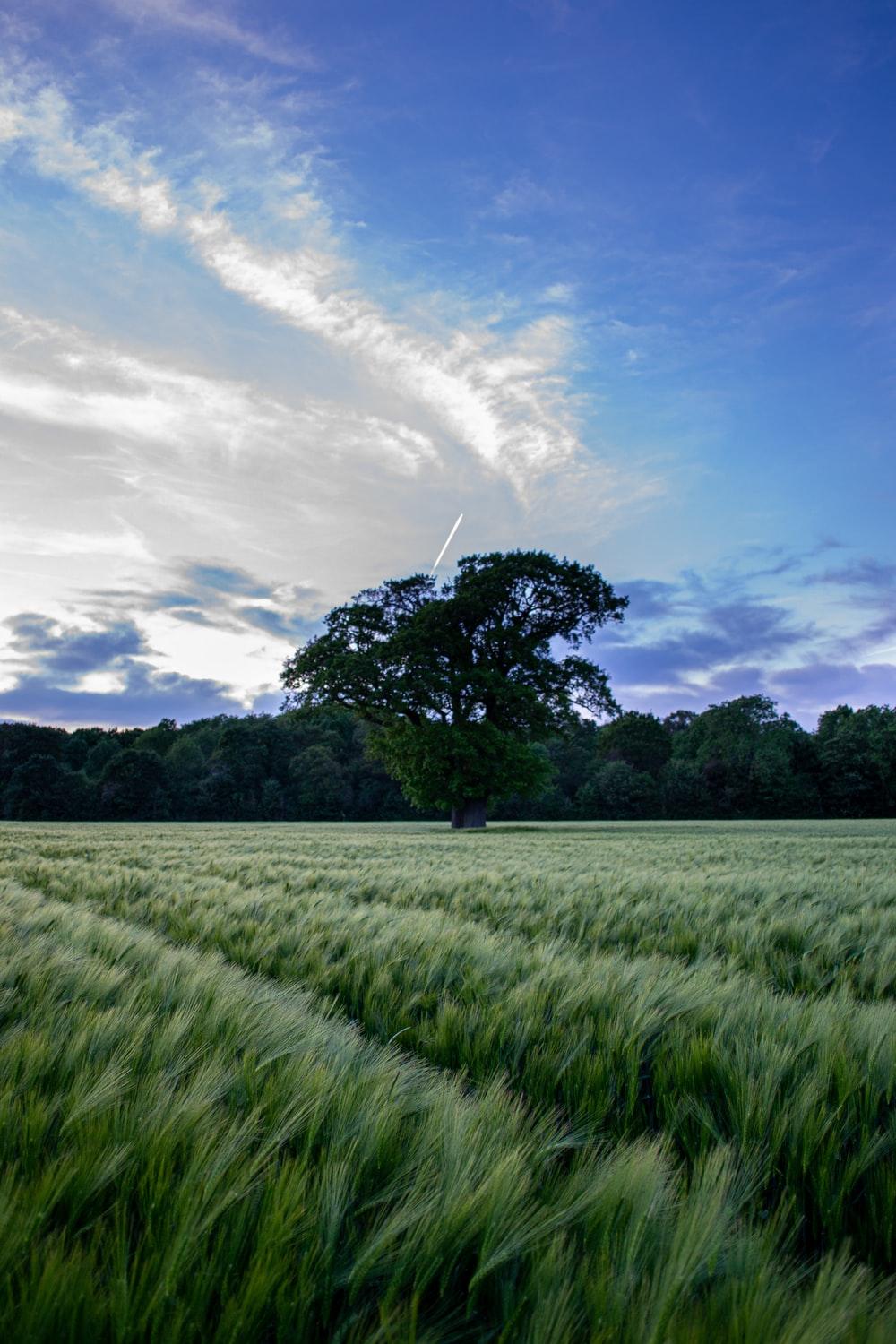 English Countryside Picture. Download Free Image