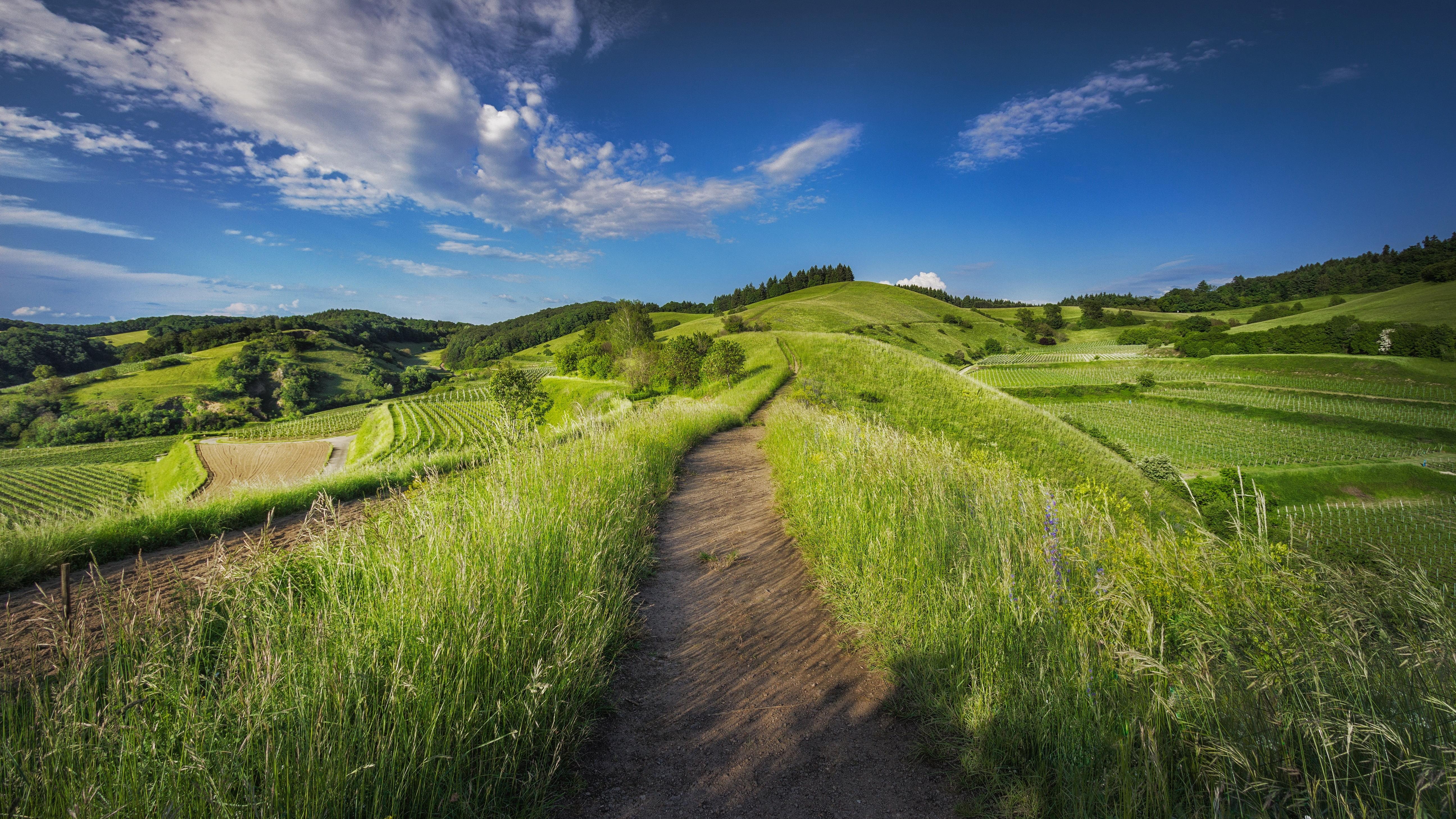 Countryside Grass Fields Scenery Wallpapers - Wallpaper Cave