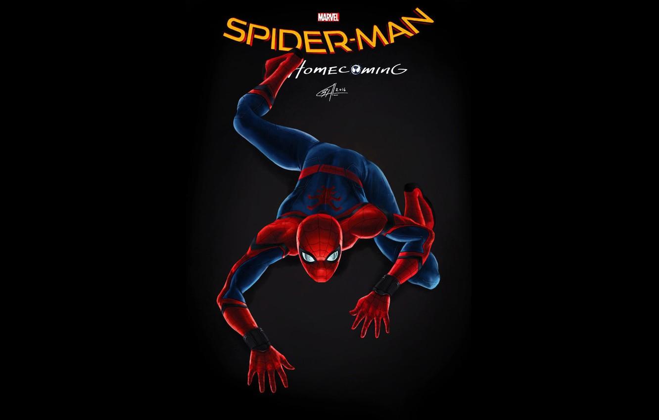 Wallpaper poster, spider man, Peter Parker, Tom Holland, spider