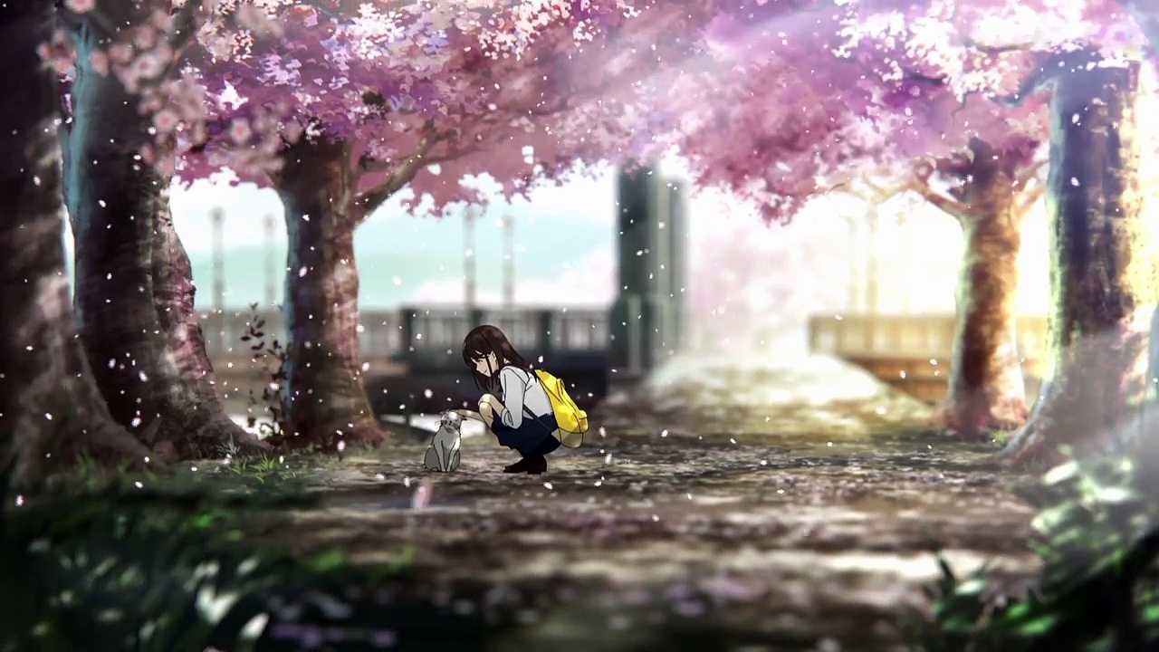 Let Me Eat Your Pancreas Wallpapers - Wallpaper Cave