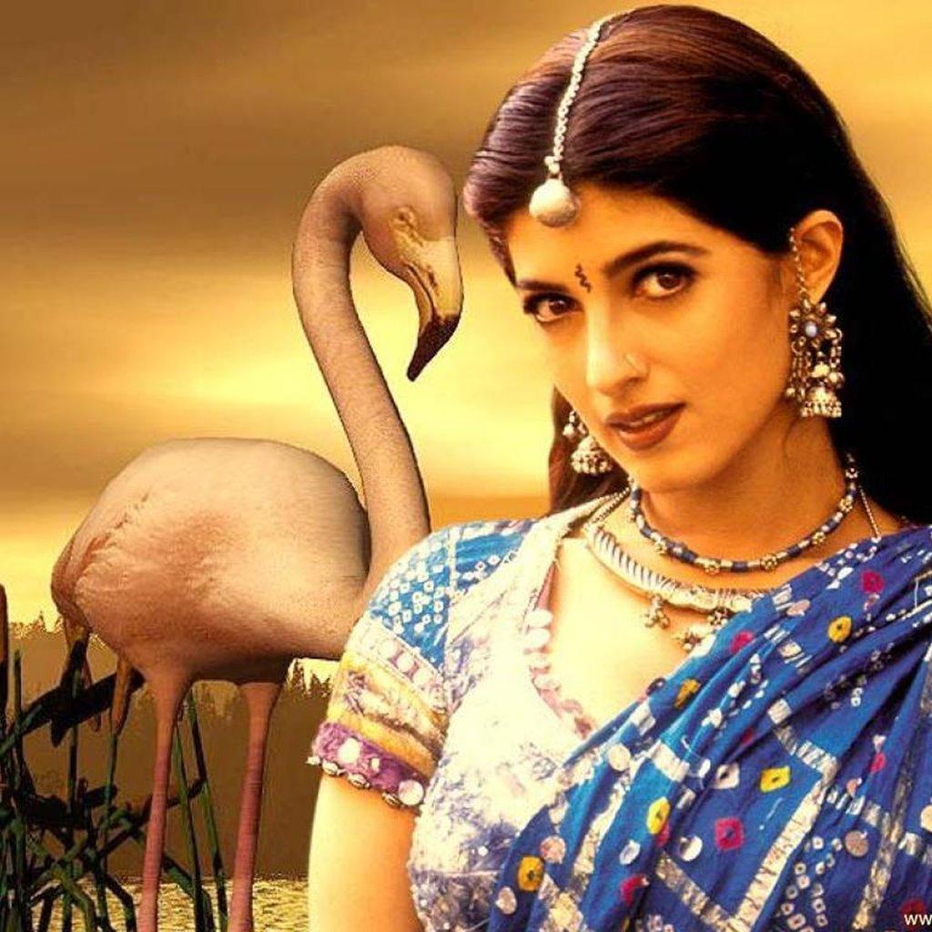 Twinkle Khanna Wallpapers Wallpaper Cave   Wp4627903 