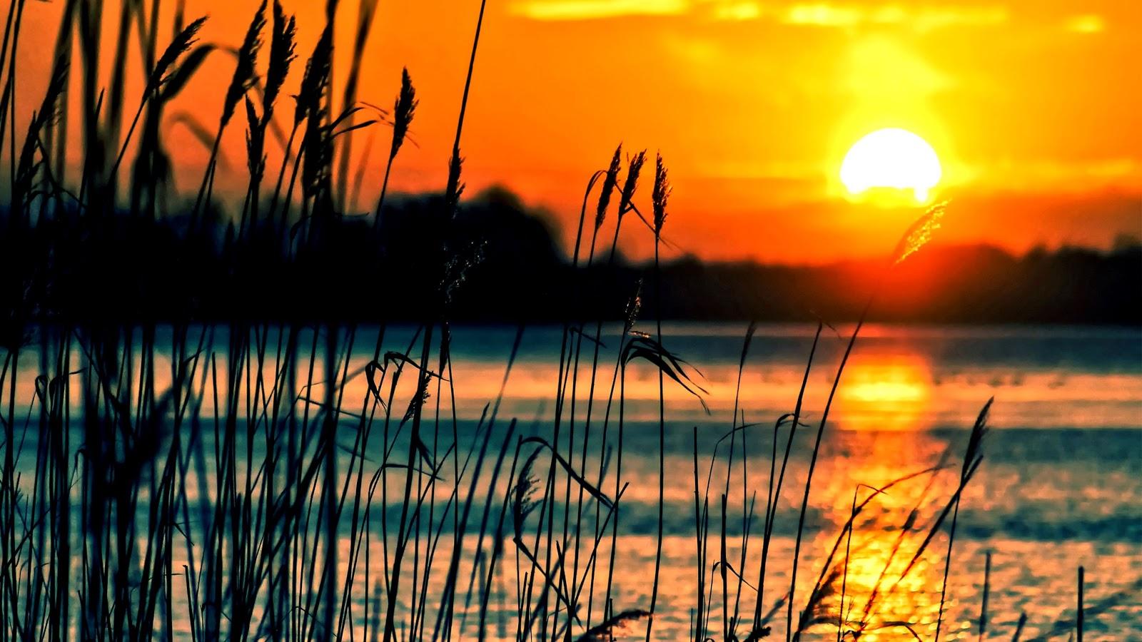 Sunset Over The Lake Wallpaper