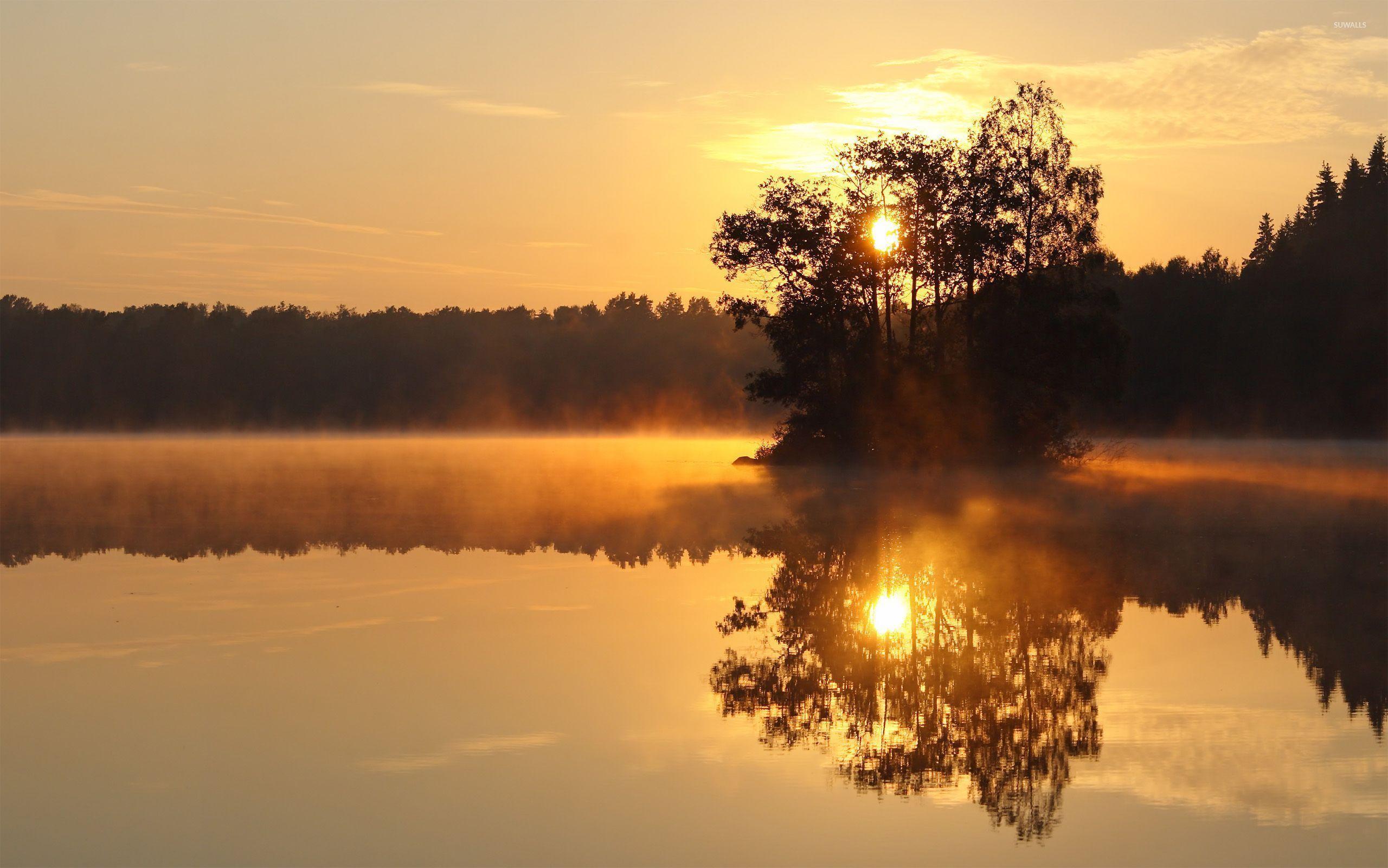 Trees in the foggy lake at sunset wallpaper wallpaper