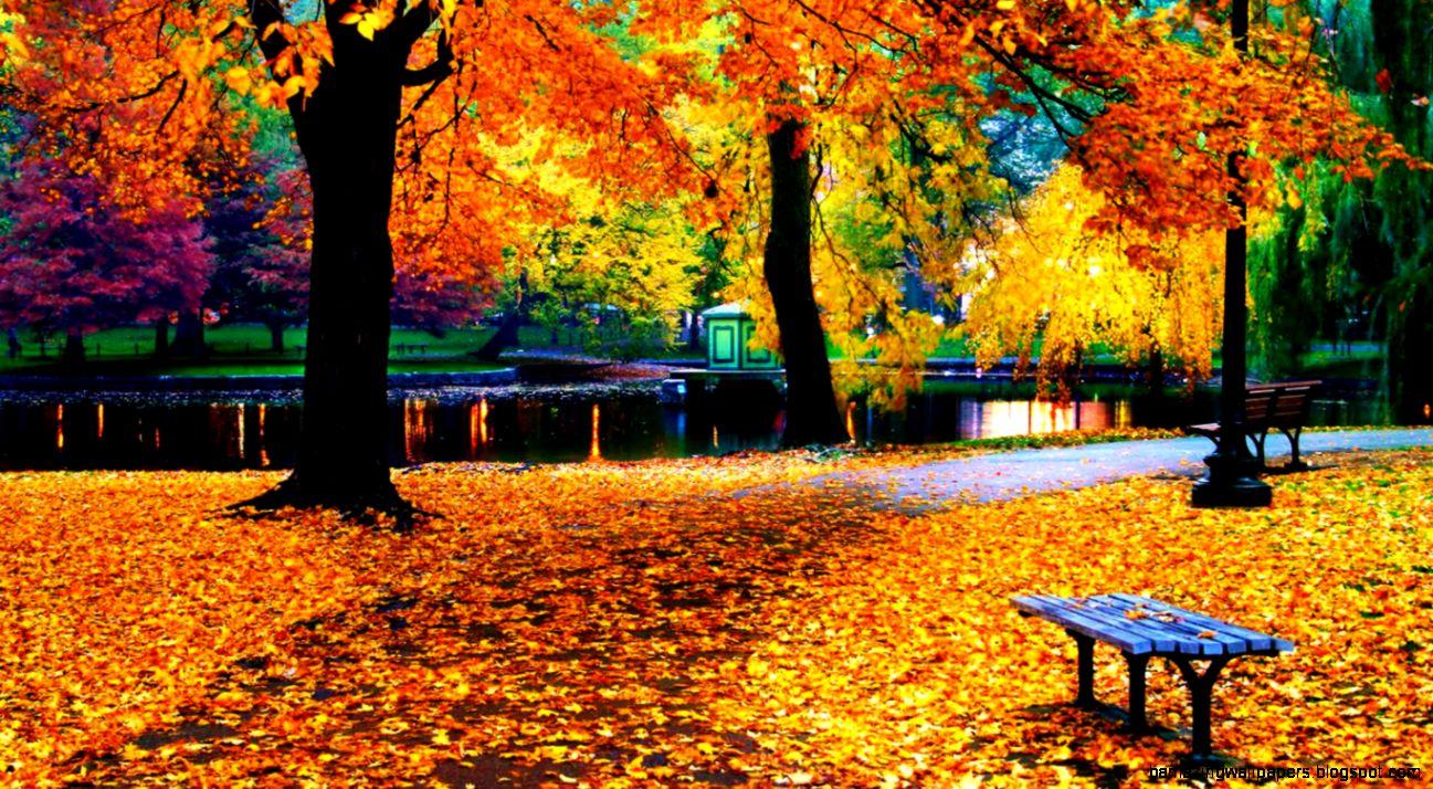 Fall Colors HD Wallpaper