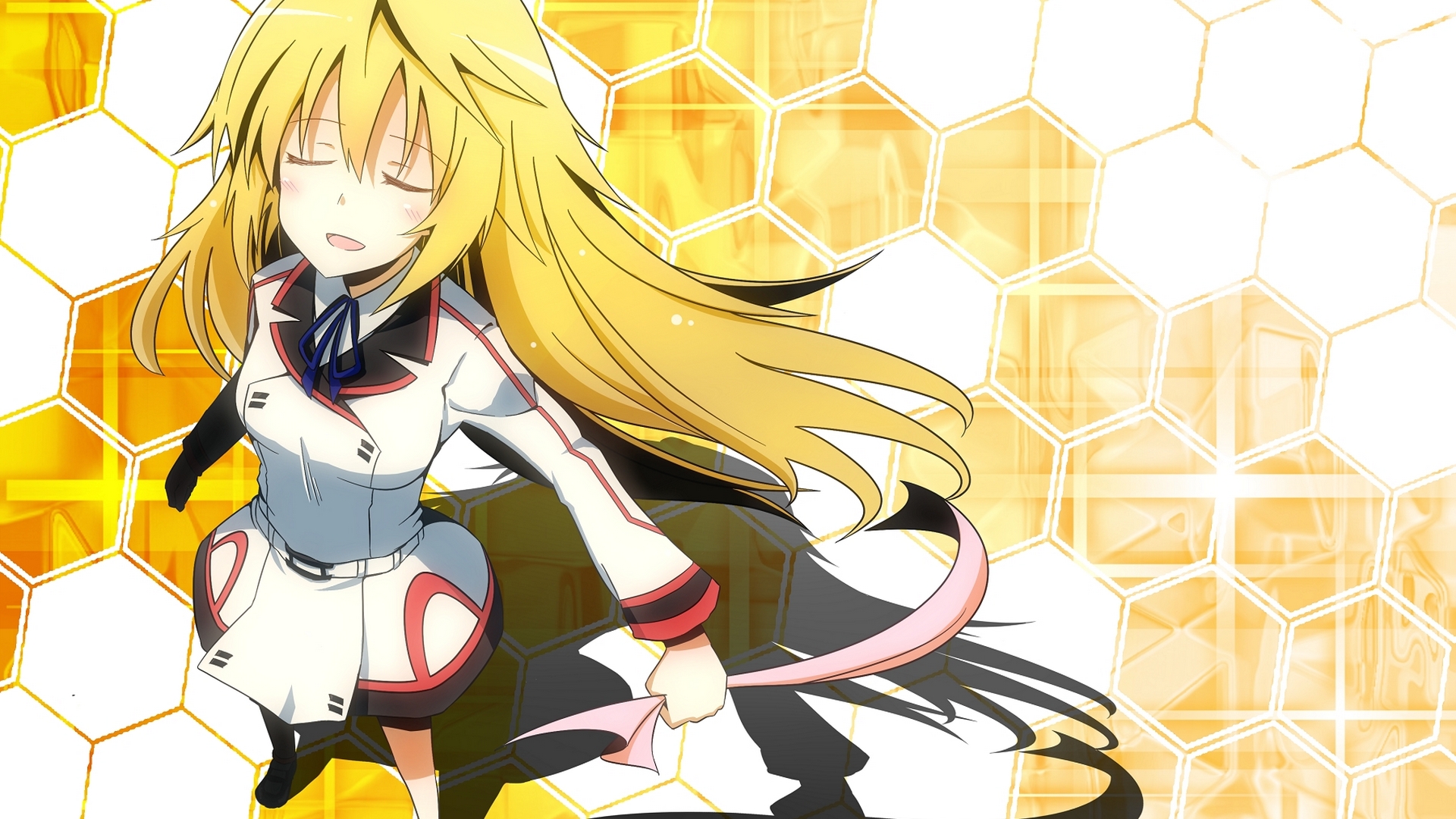 Wallpapers IS: Infinite Stratos Anime 1920x1080.