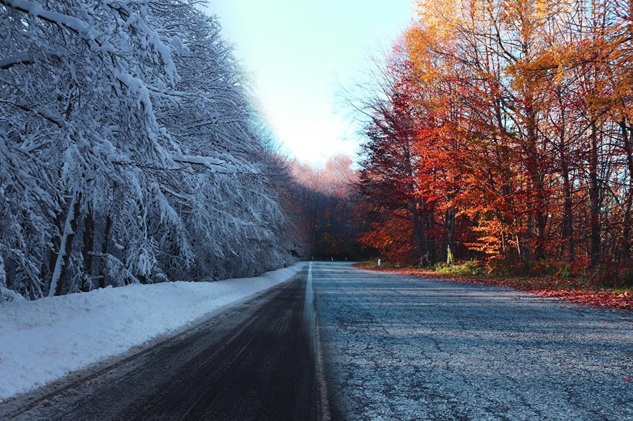 Desktop Wallpaper Nature Winter Autumn Snow Roads Trees