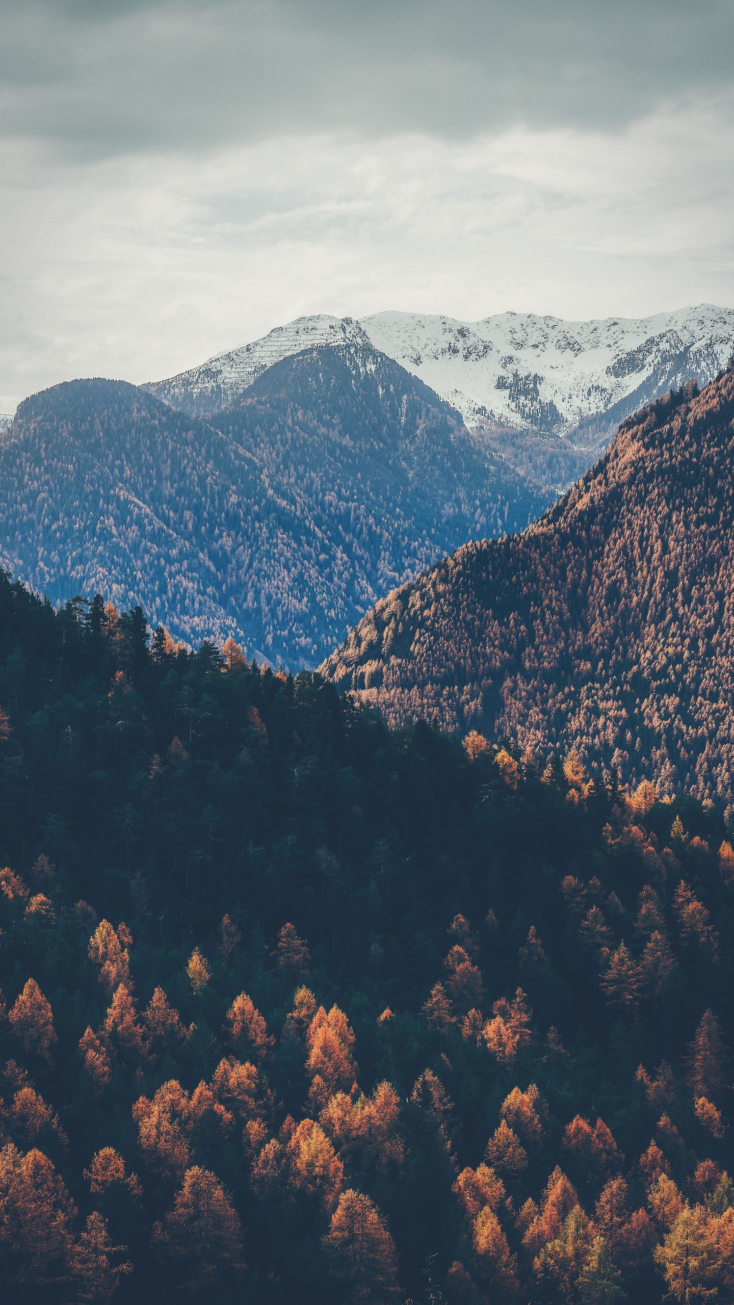 Download wallpaper 1440x2560 mountains, peaks, autumn, snowy