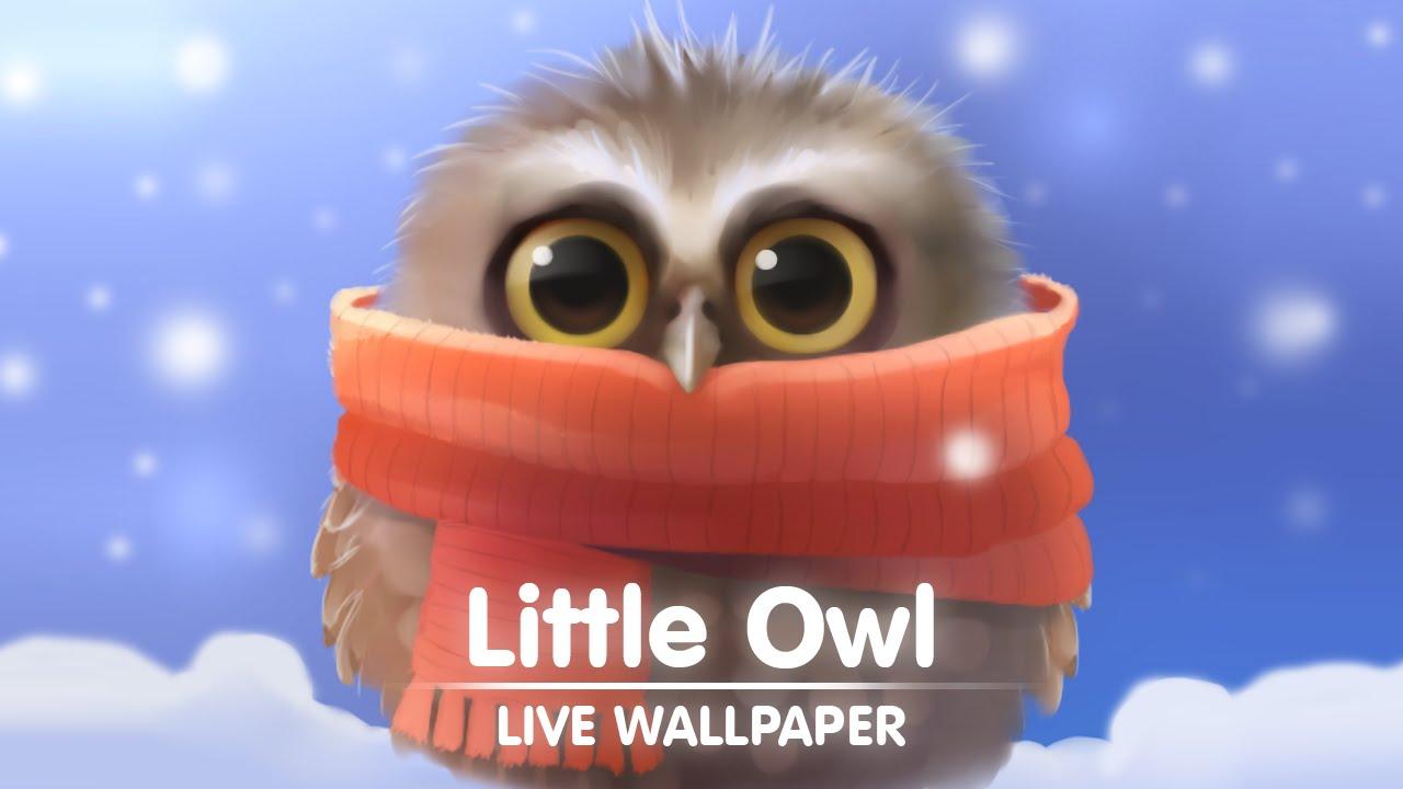 Little Owl Live Wallpaper