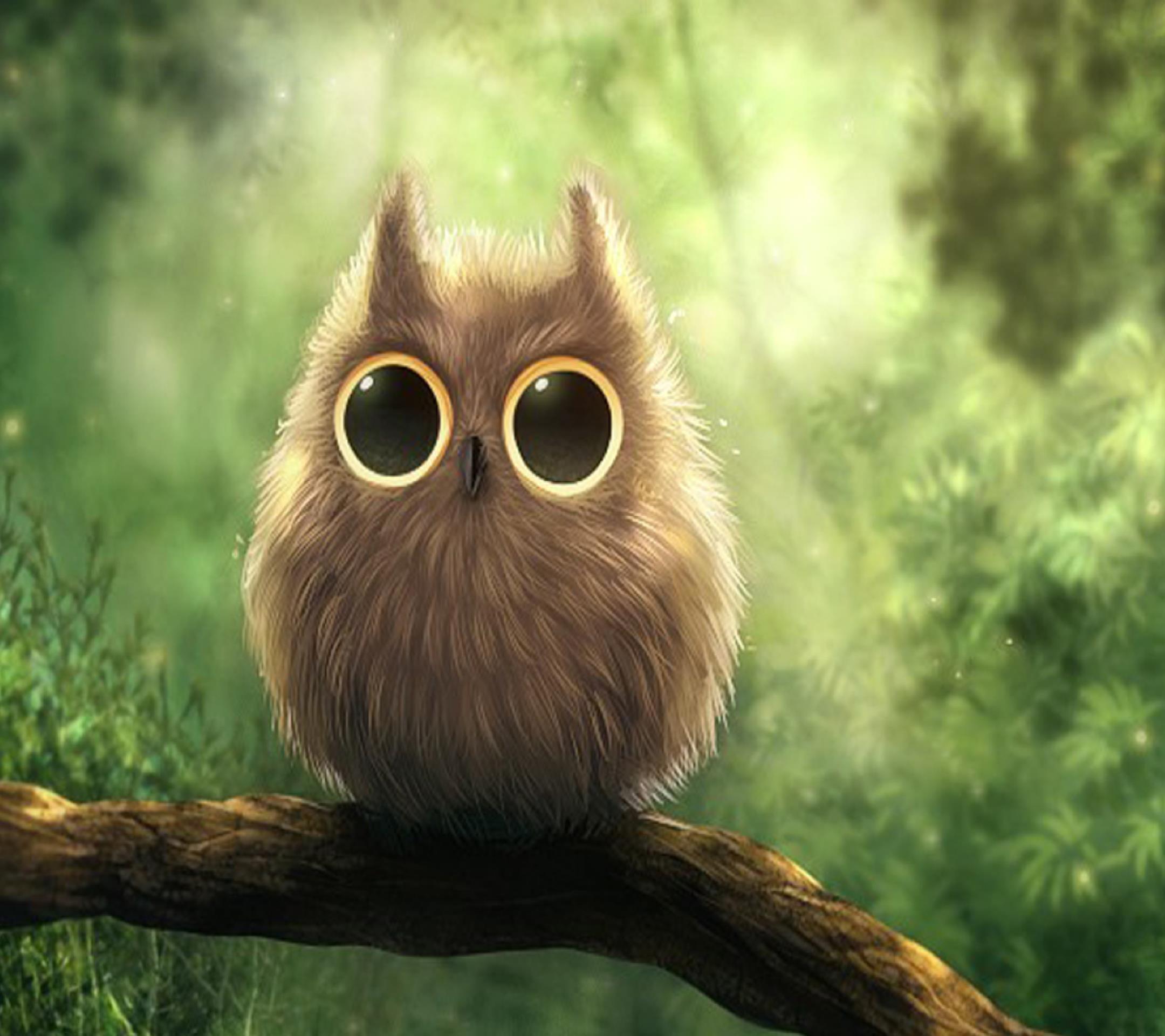 Little Owl Wallpapers - Wallpaper Cave