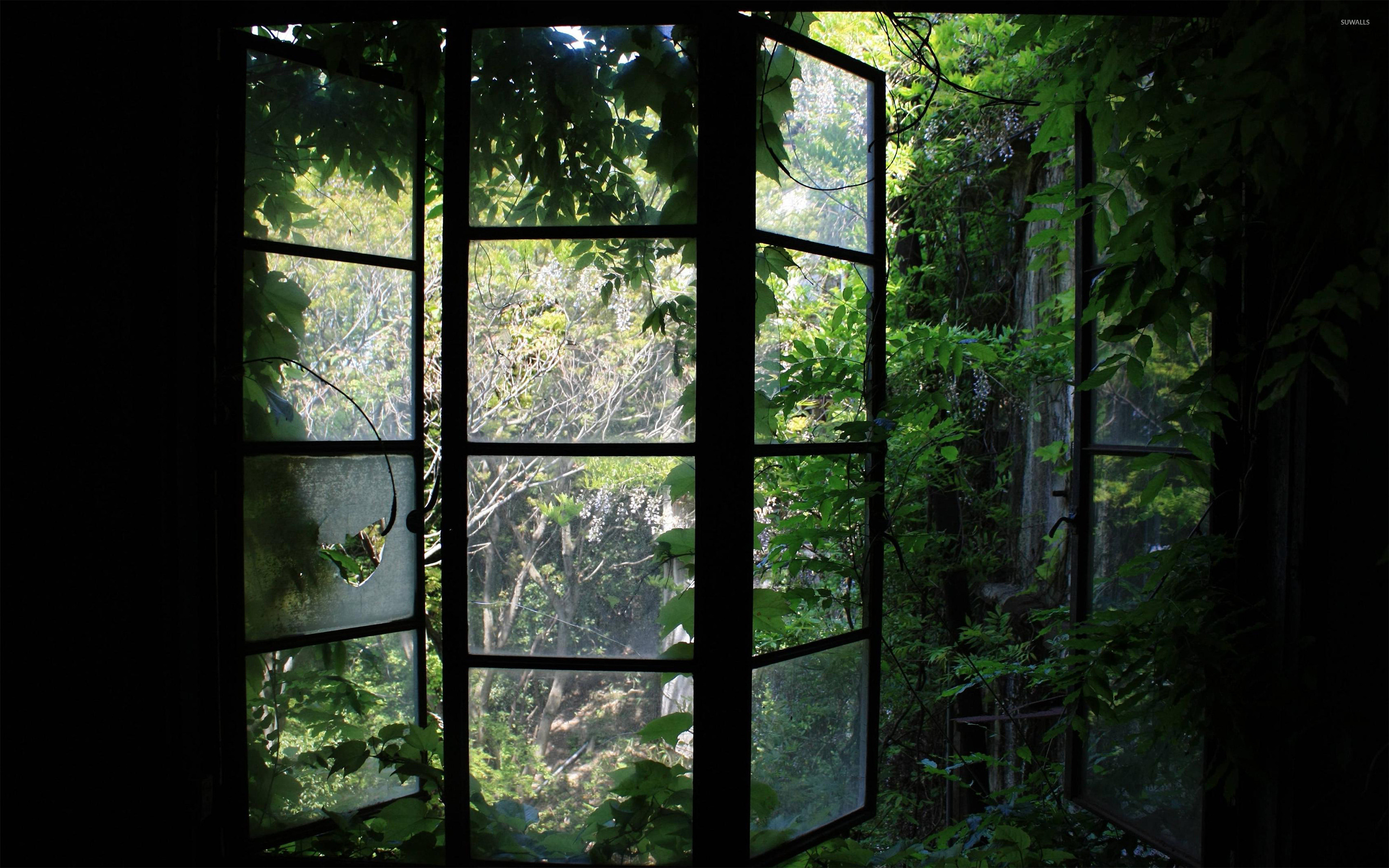 Greenhouse window wallpaper wallpaper