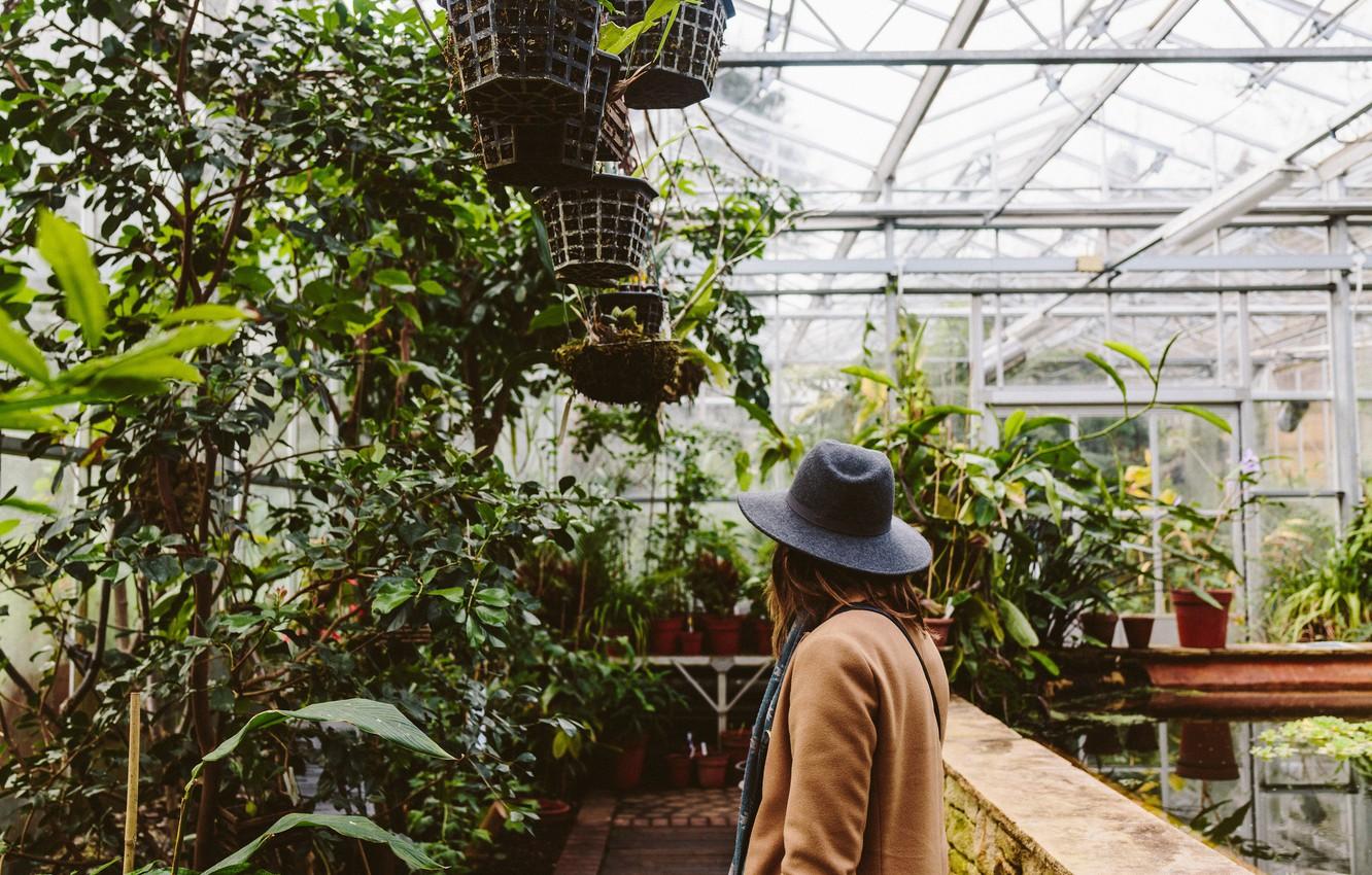 Wallpaper girl, plants, hat, greenhouse image for desktop