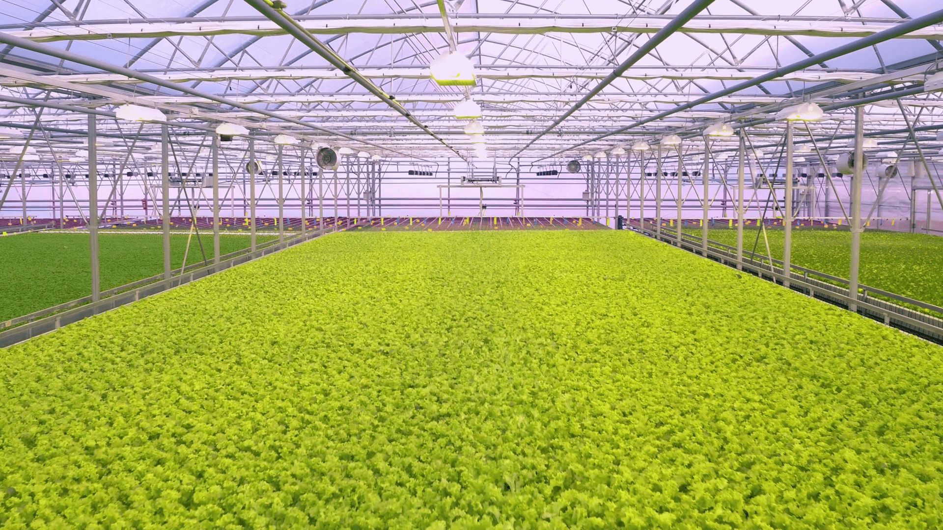 Best Hydroponic farm Wallpaper (8 + Image)