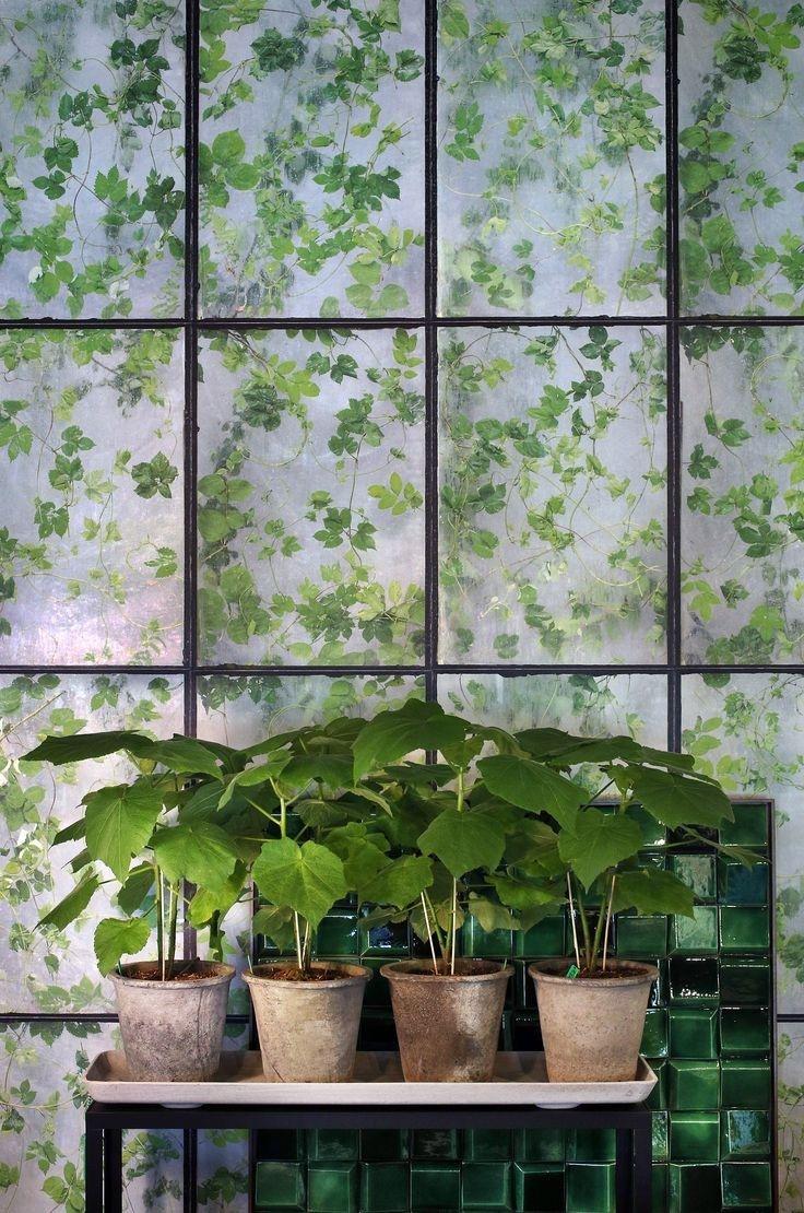 Greenhouse Wallpapernd bedroom. Wallpaper, Shop