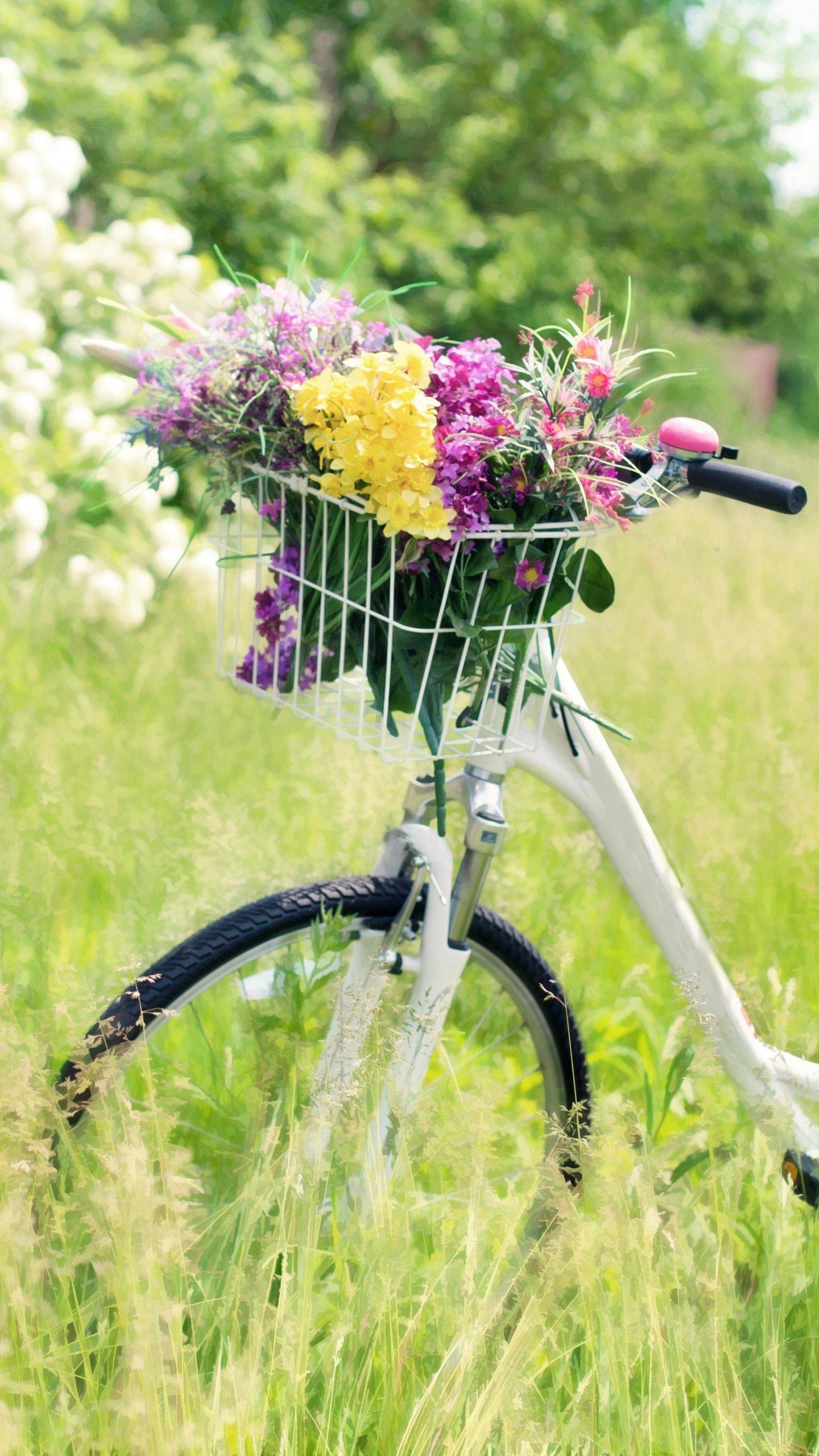 Romantic Bicycle in Meadow Wallpaper, Android