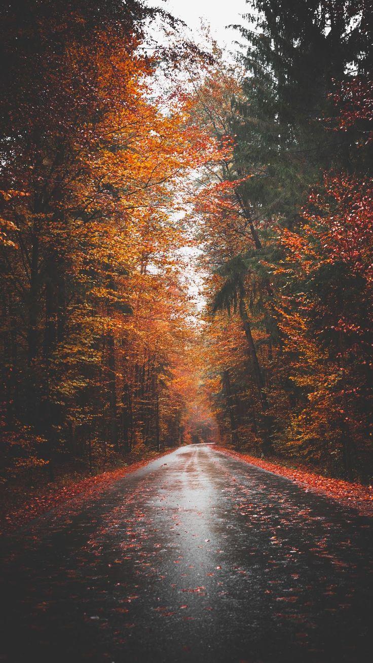 Tumblr Photography Wallpaper iPhone Autumn Road