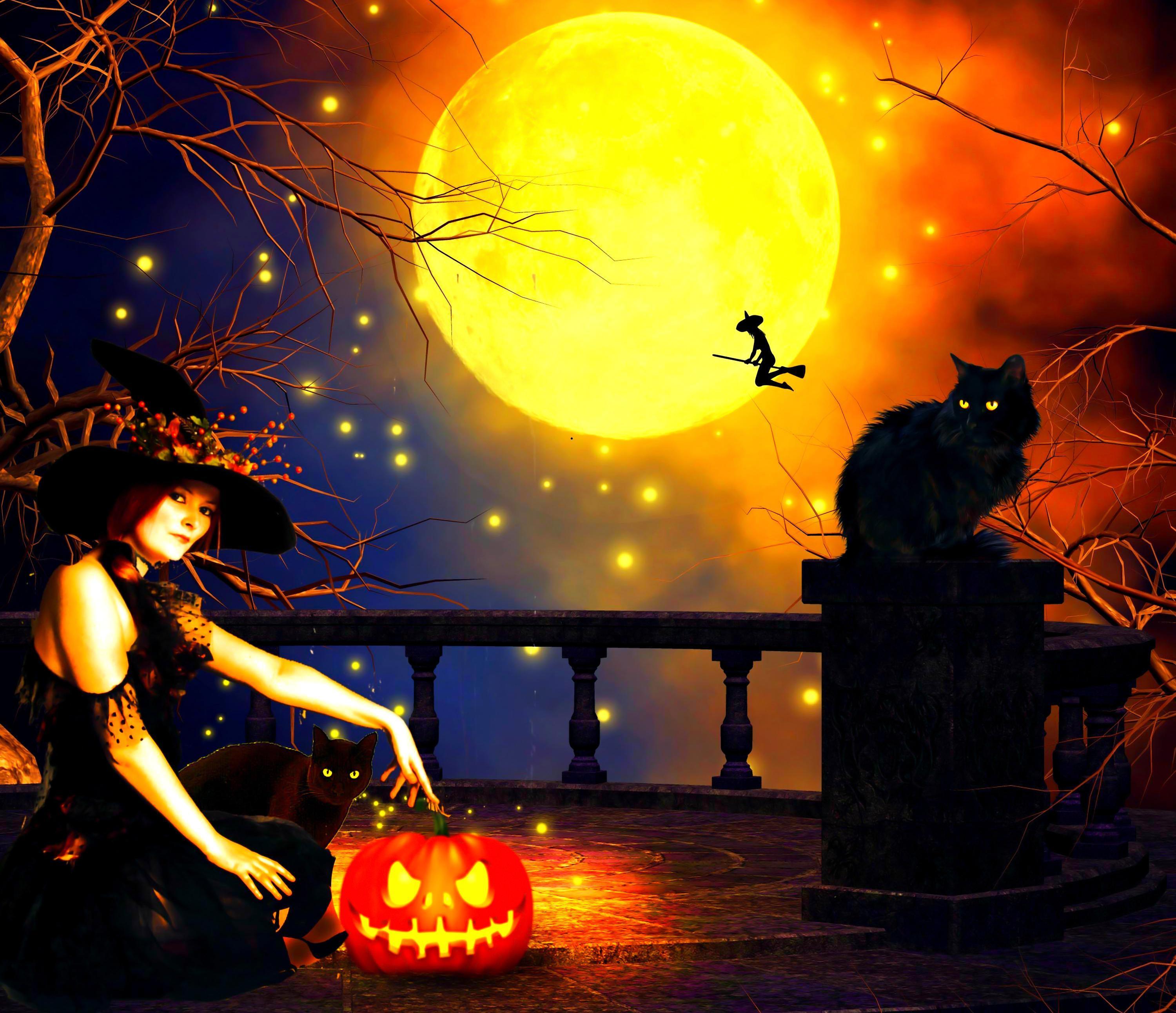 Witches' Night HD desktop wallpaper, Widescreen, High