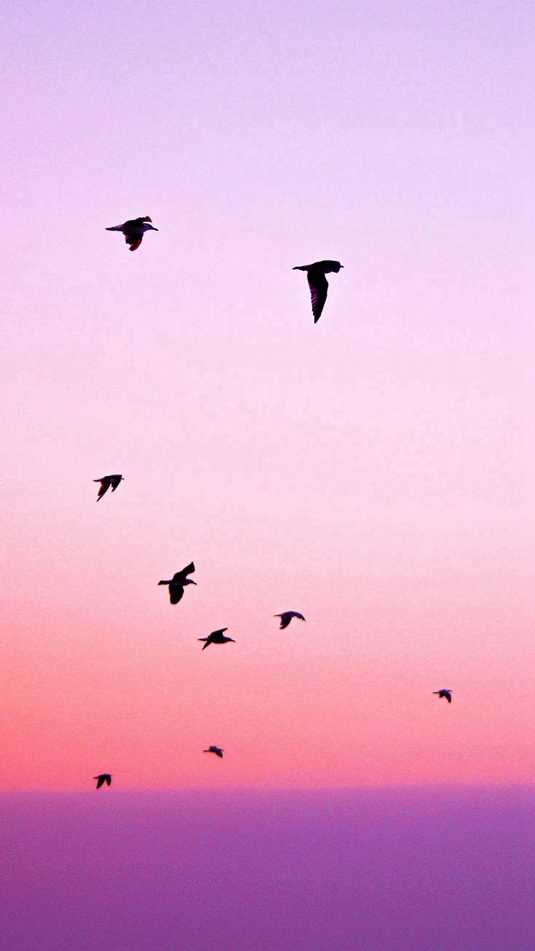 Birds Flying In Purple Sunset #iPhone #wallpaper. Sunset iphone wallpaper, Wallpaper iphone cute, Wallpaper iphone summer